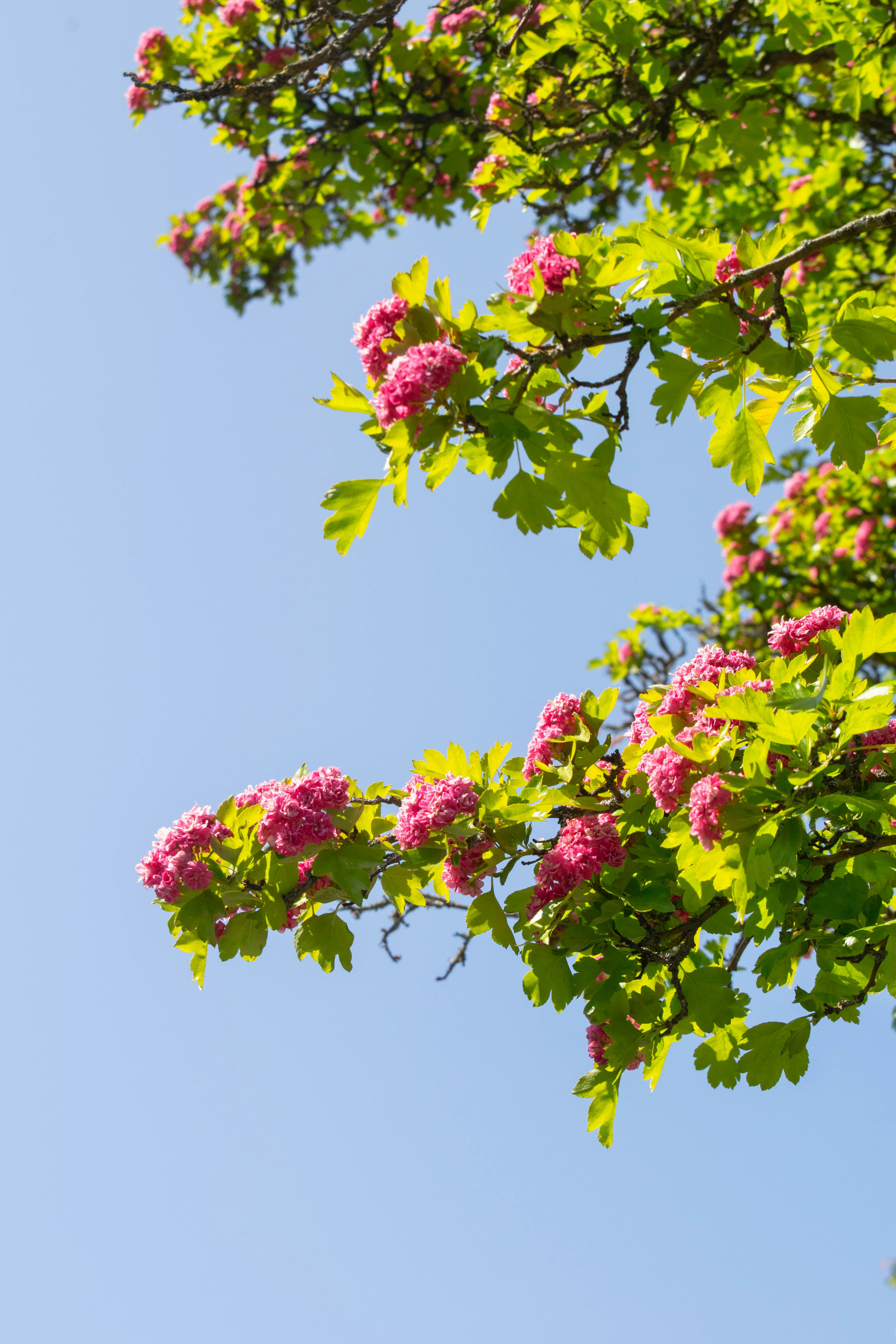 Photo by alexandre13