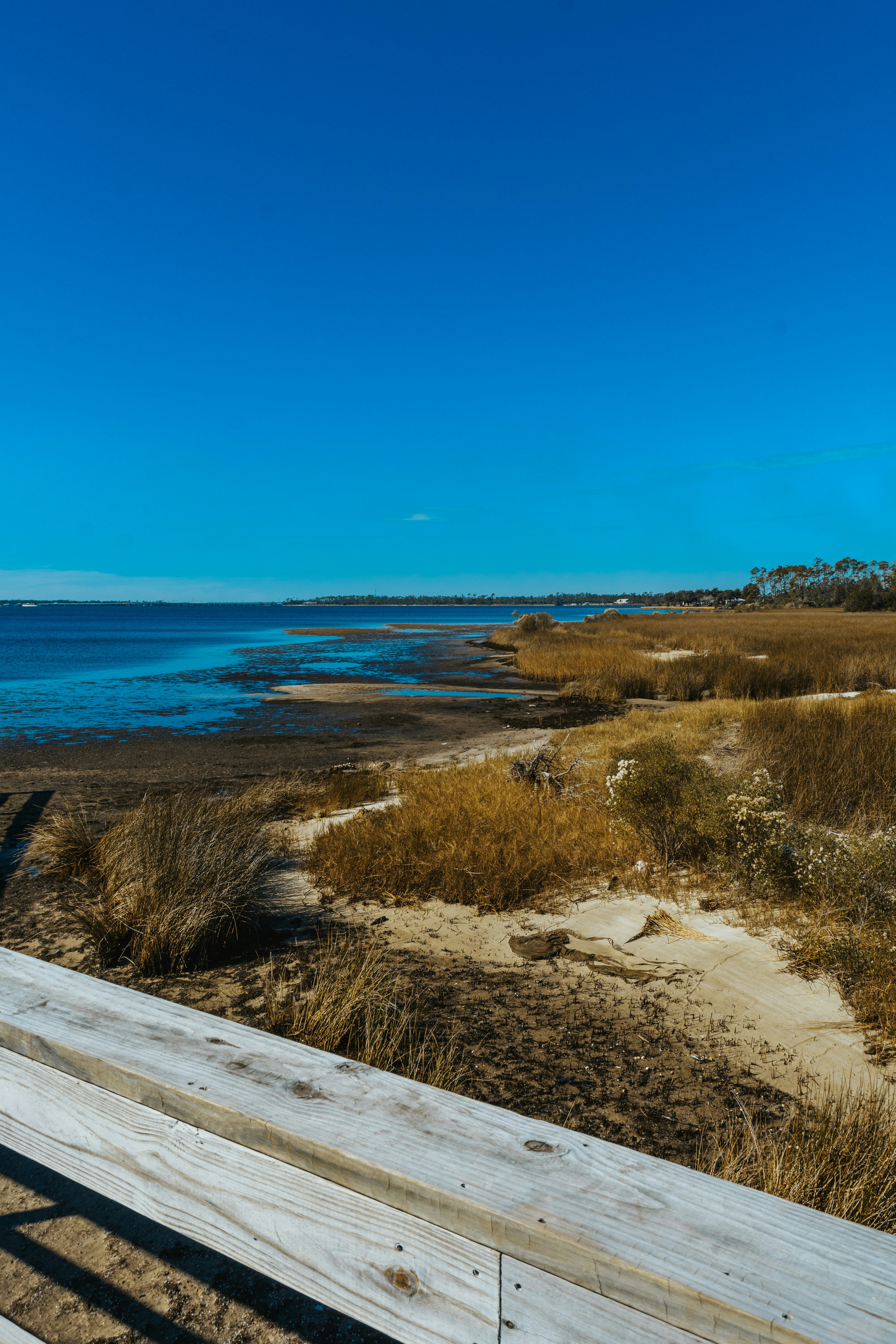 Navigating Florida's Unique Housing Landscape