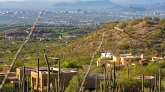 A scenic view of a desert landscape featuring numerous cacti scattered across the rolling hills. In the foreground, several adobe-style houses with flat roofs and warm-toned walls blend into the surroundings. The background reveals a sprawling cityscape with buildings rising against a backdrop of distant mountain ranges under a hazy sky.