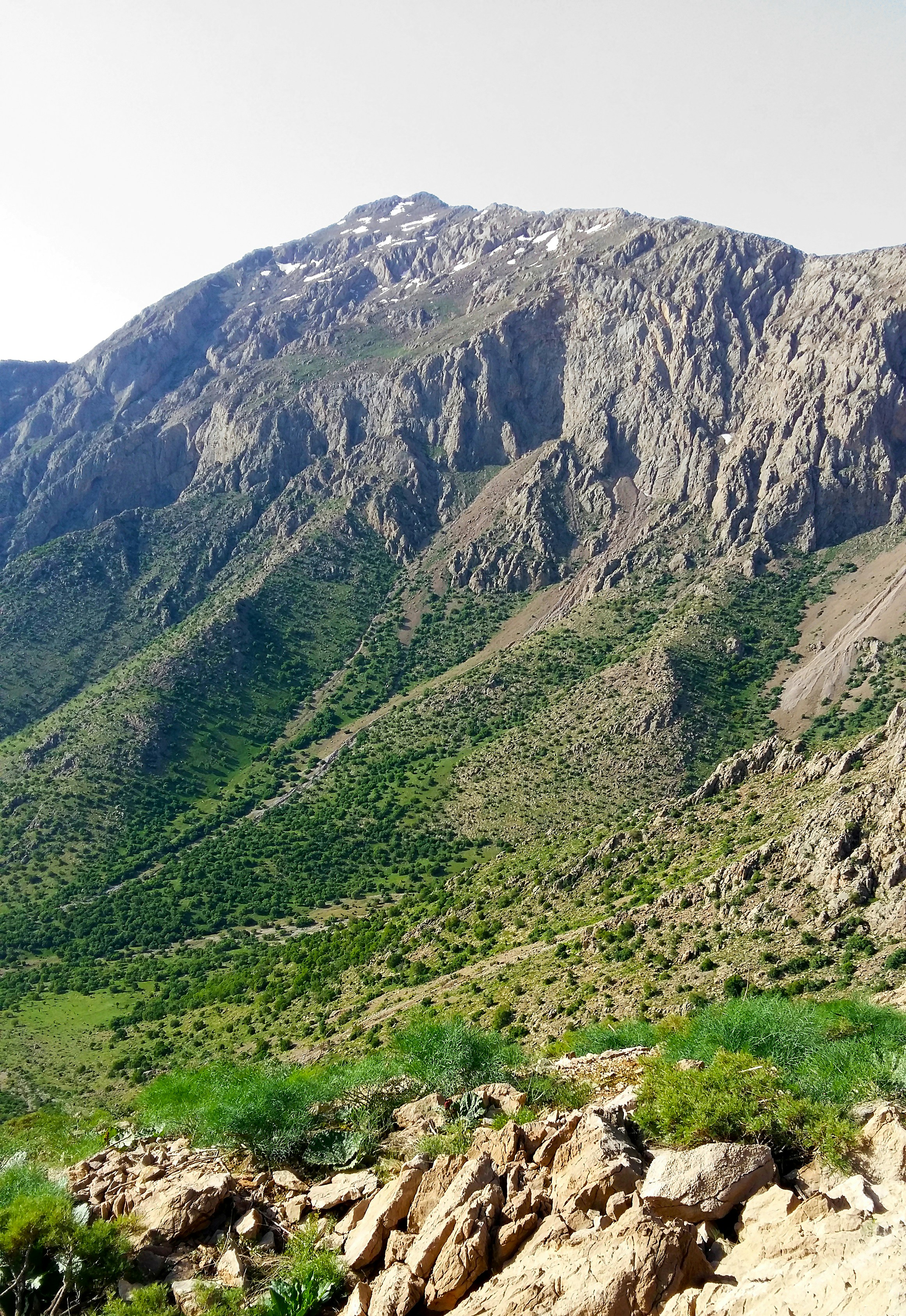 Photo by rashedpaykary