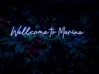 A welcoming contact page with maritime motifs and bold blues.