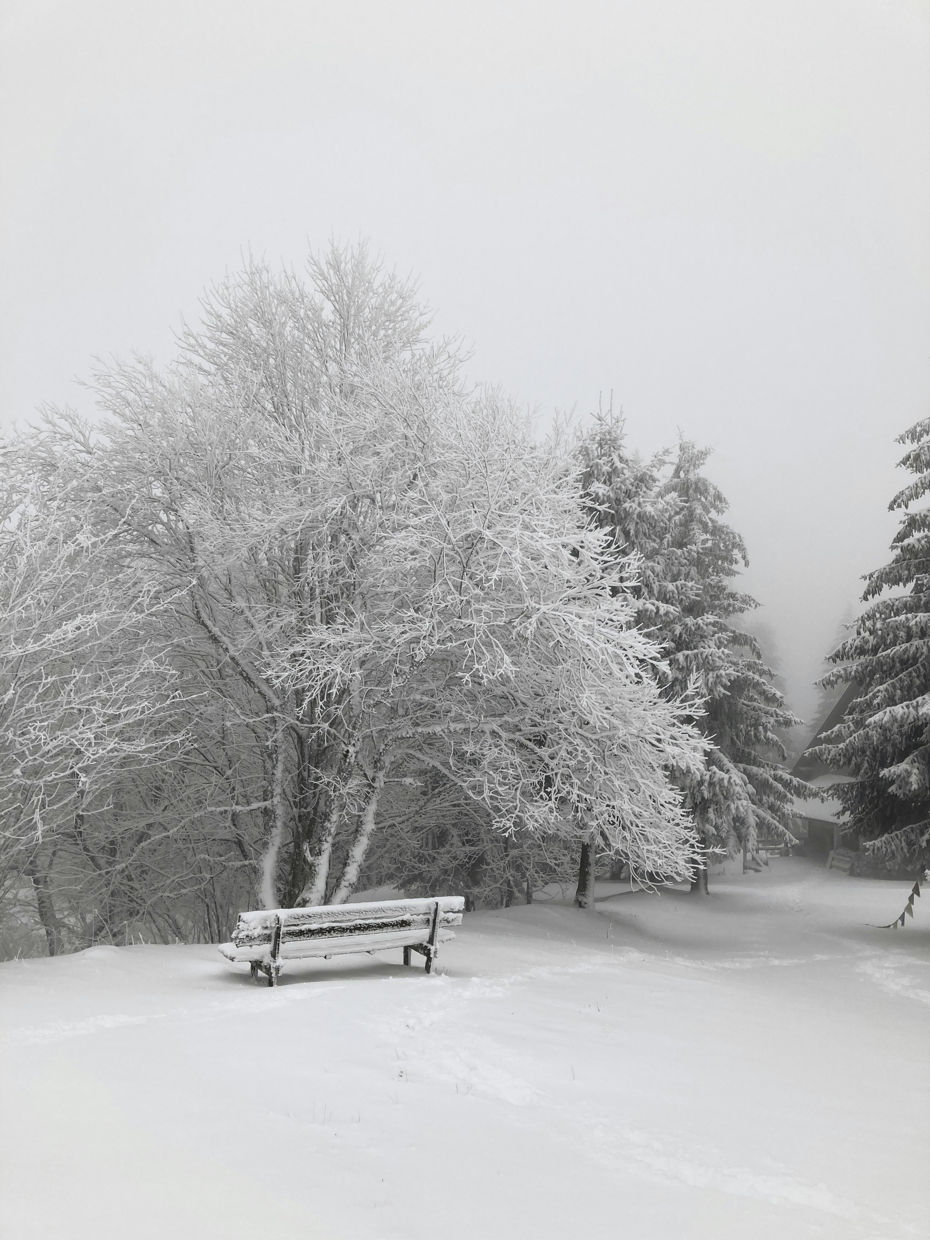 Photo by sebastien_ld