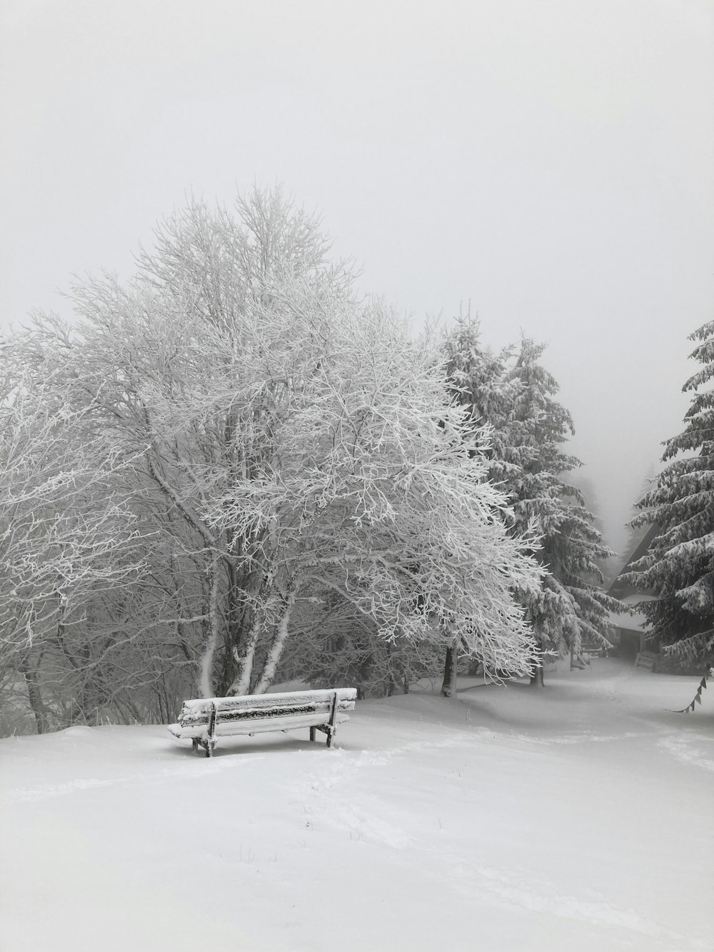 a bench sitting in the middle of a snow covered field
