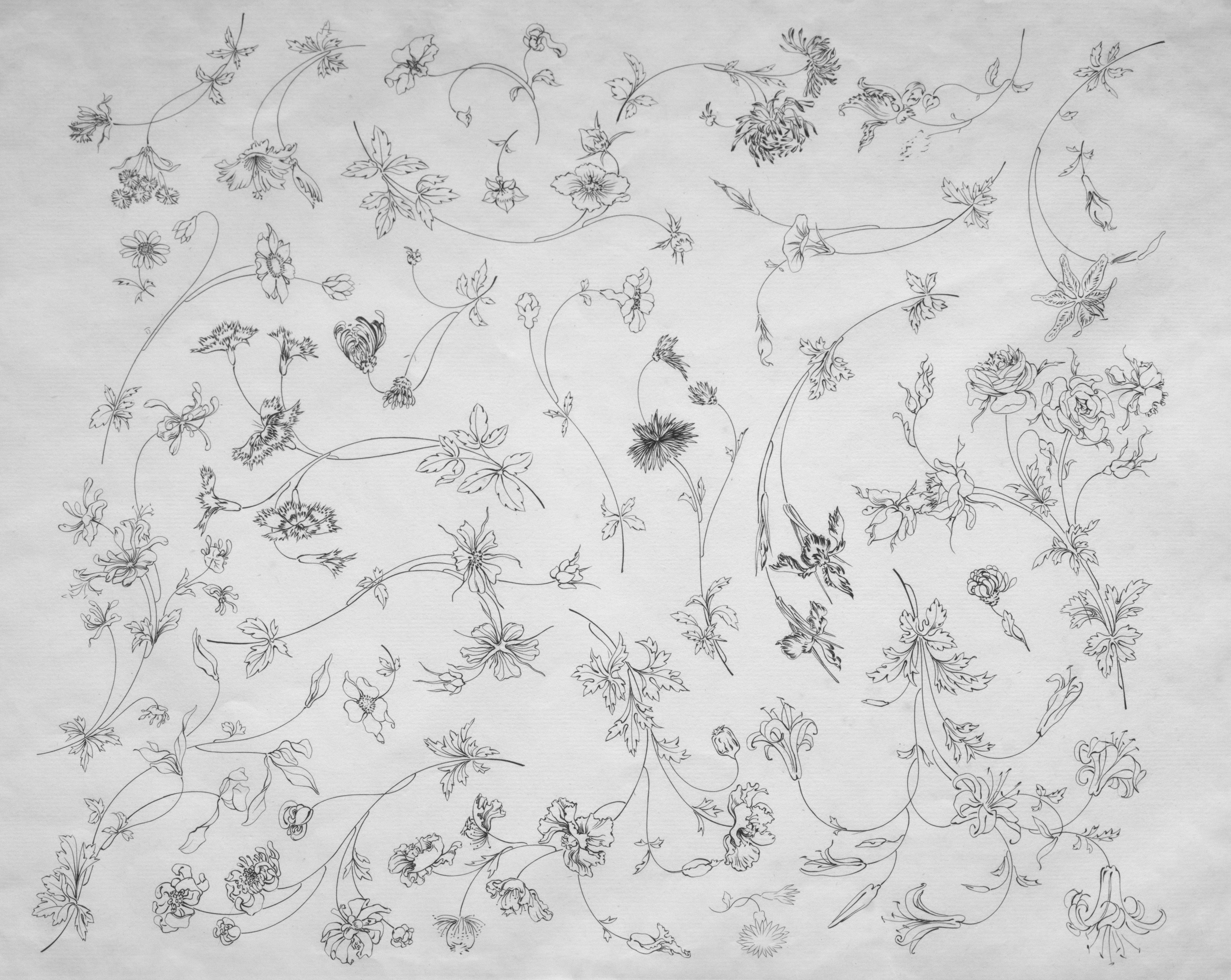 Flower designs for plates and borders (no. 14) 1872 Félix Bracquemond (French, 1833–1914) France, 19th century Etching Support: Beige (1) heavy laid paper Sheet: 35.2 x 45.8 cm (13 7/8 x 18 1/16 in.); Platemark: 31 x 38.5 cm (12 3/16 x 15 3/16 in.) Dudley P. Allen Fund 1922.374 Catalogue raisonné: Beraldi 655 https://www.clevelandart.org/art/1922.374