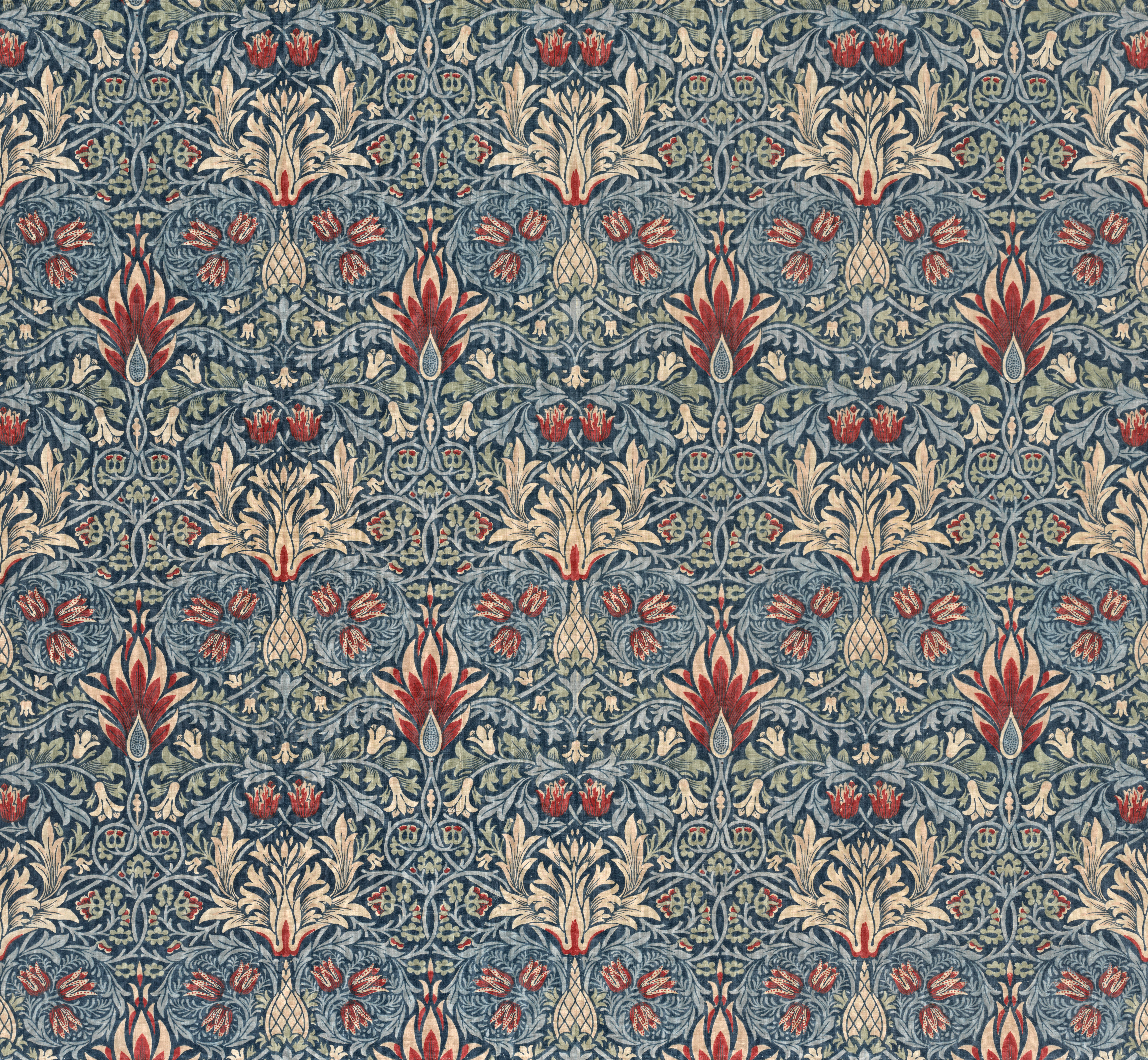 Photo by clevelandart