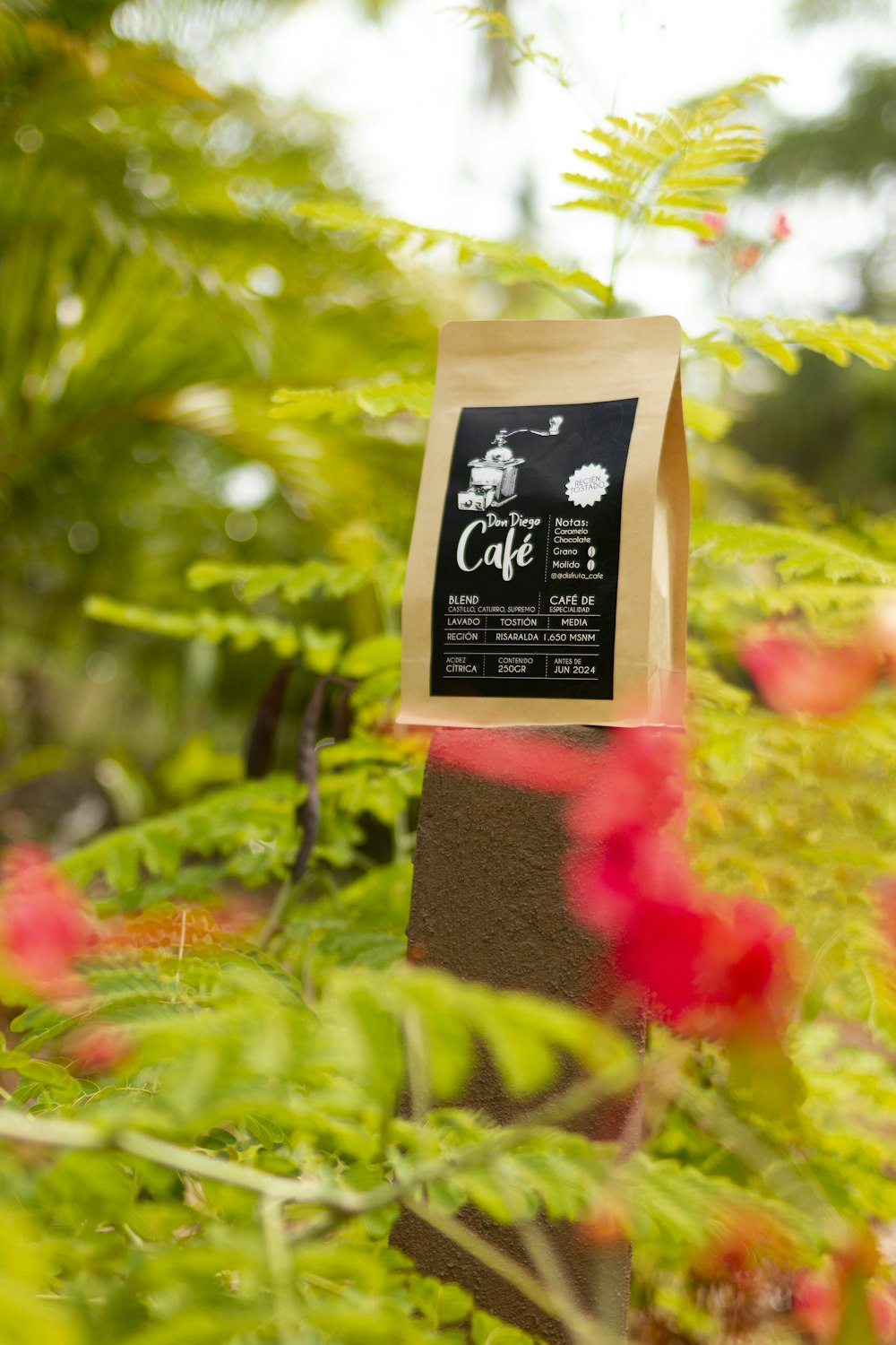 a bag of coffee sitting on top of a plant