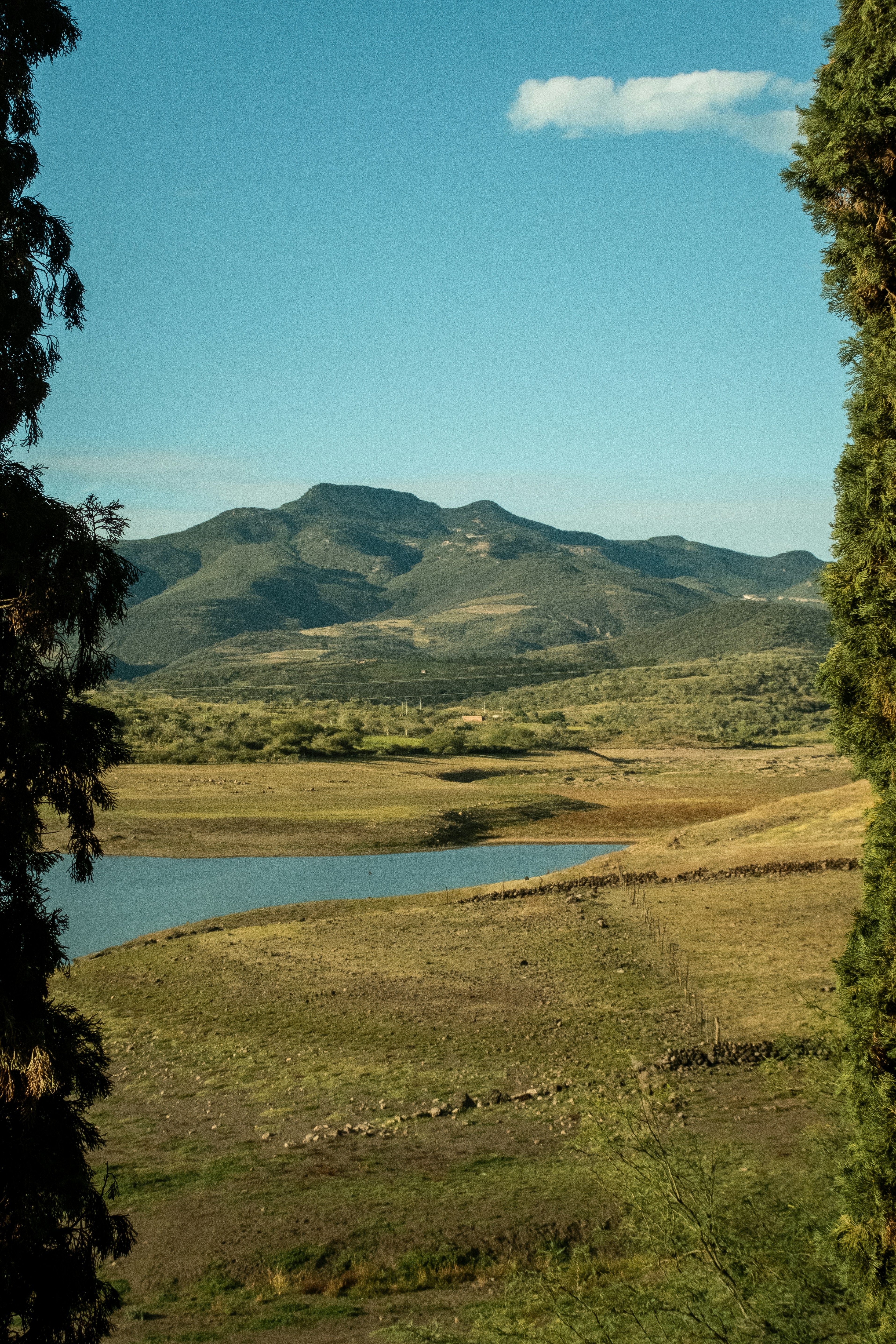 Photo by alex_quezada