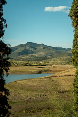 viaje a viñedos en aguascalientes