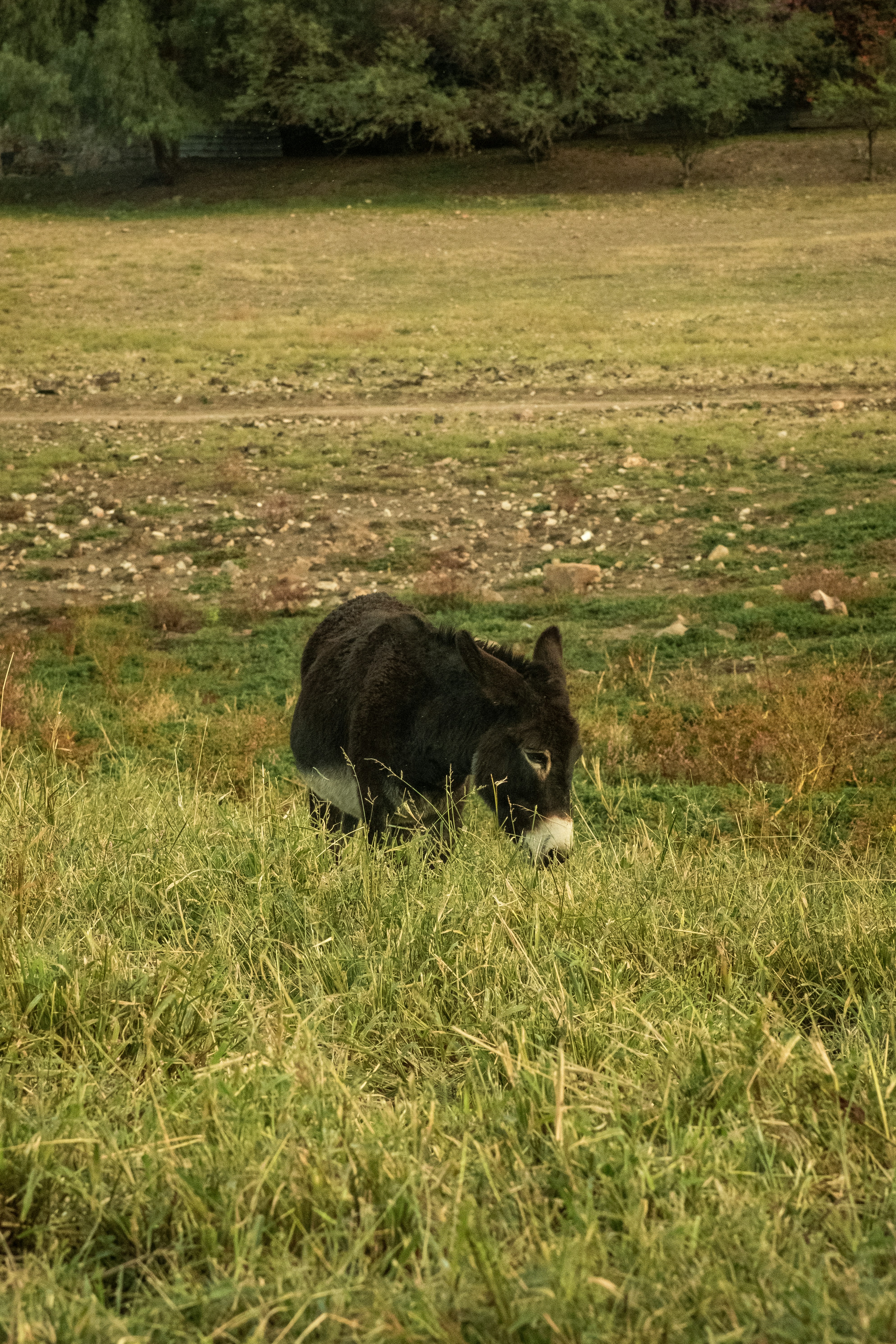 Photo by alex_quezada