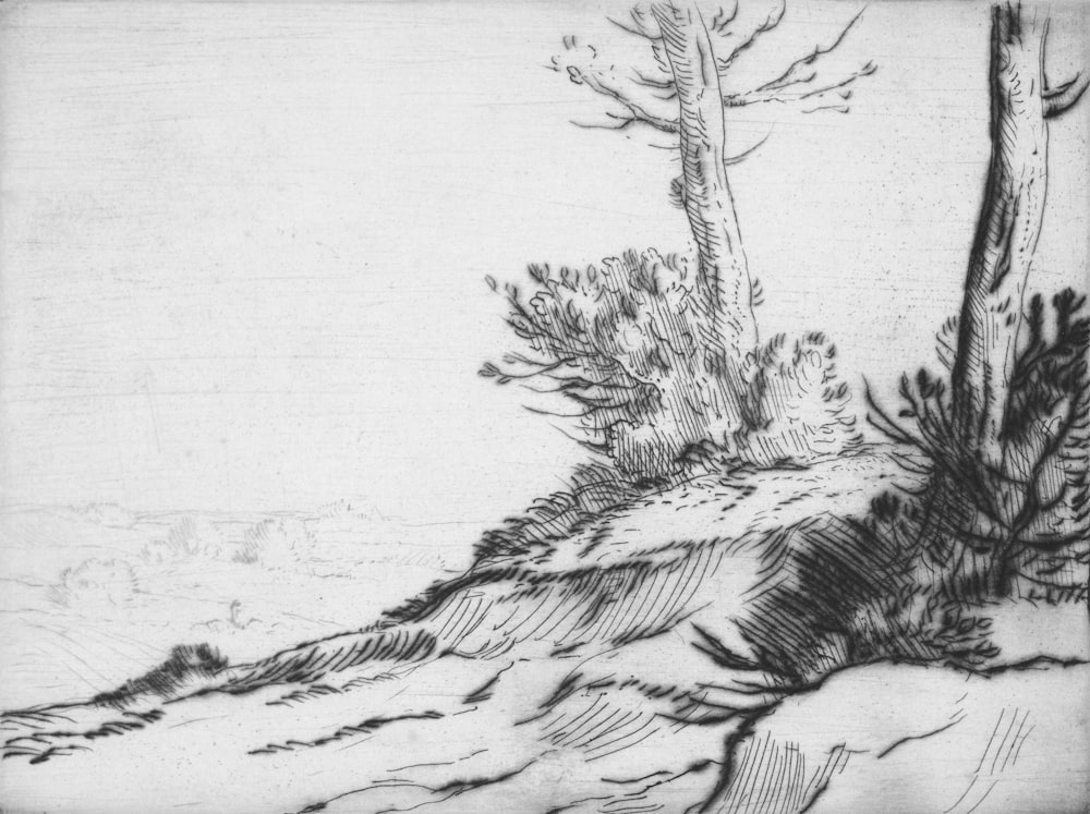 a black and white drawing of a tree on a hill