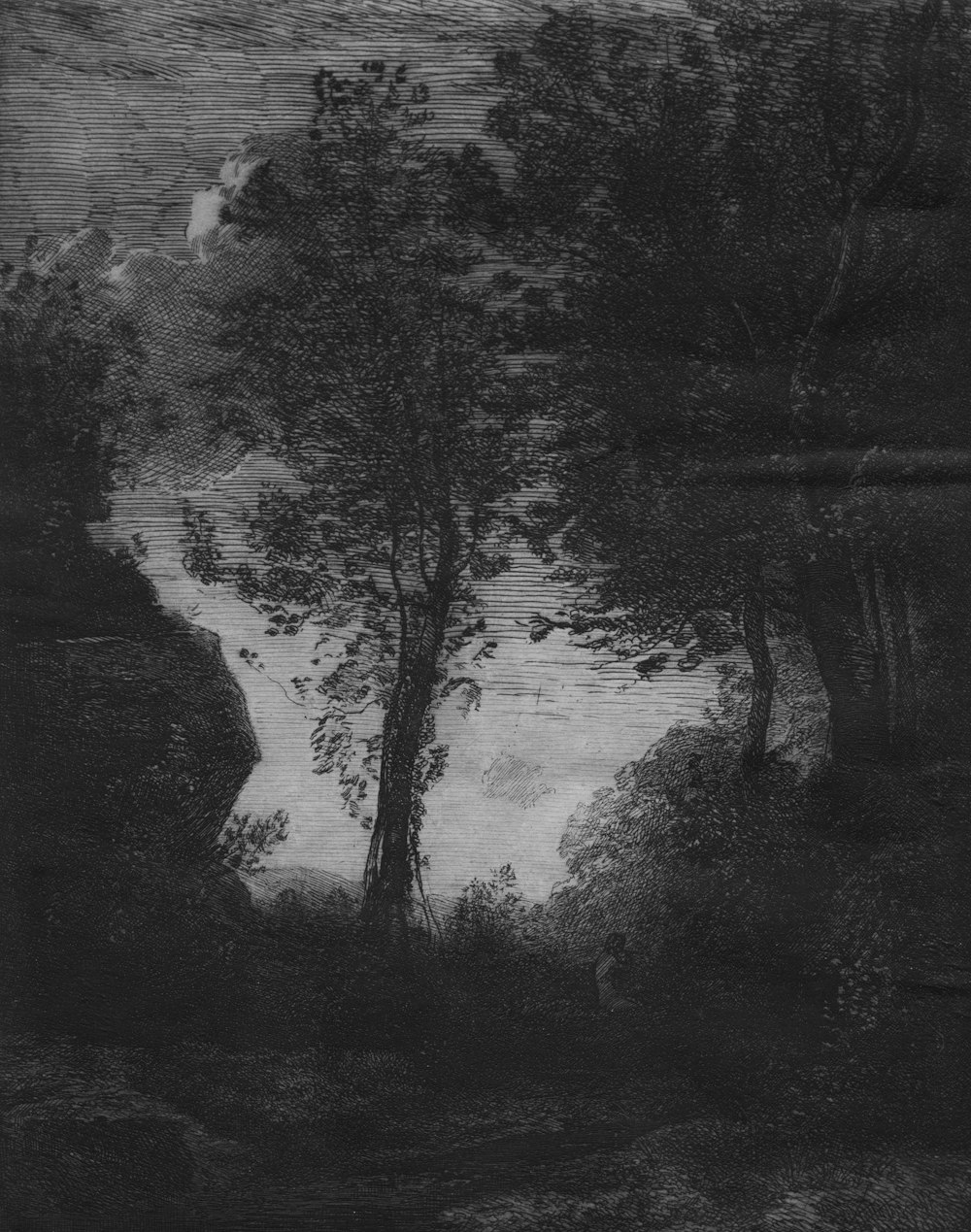 a black and white painting of trees and water