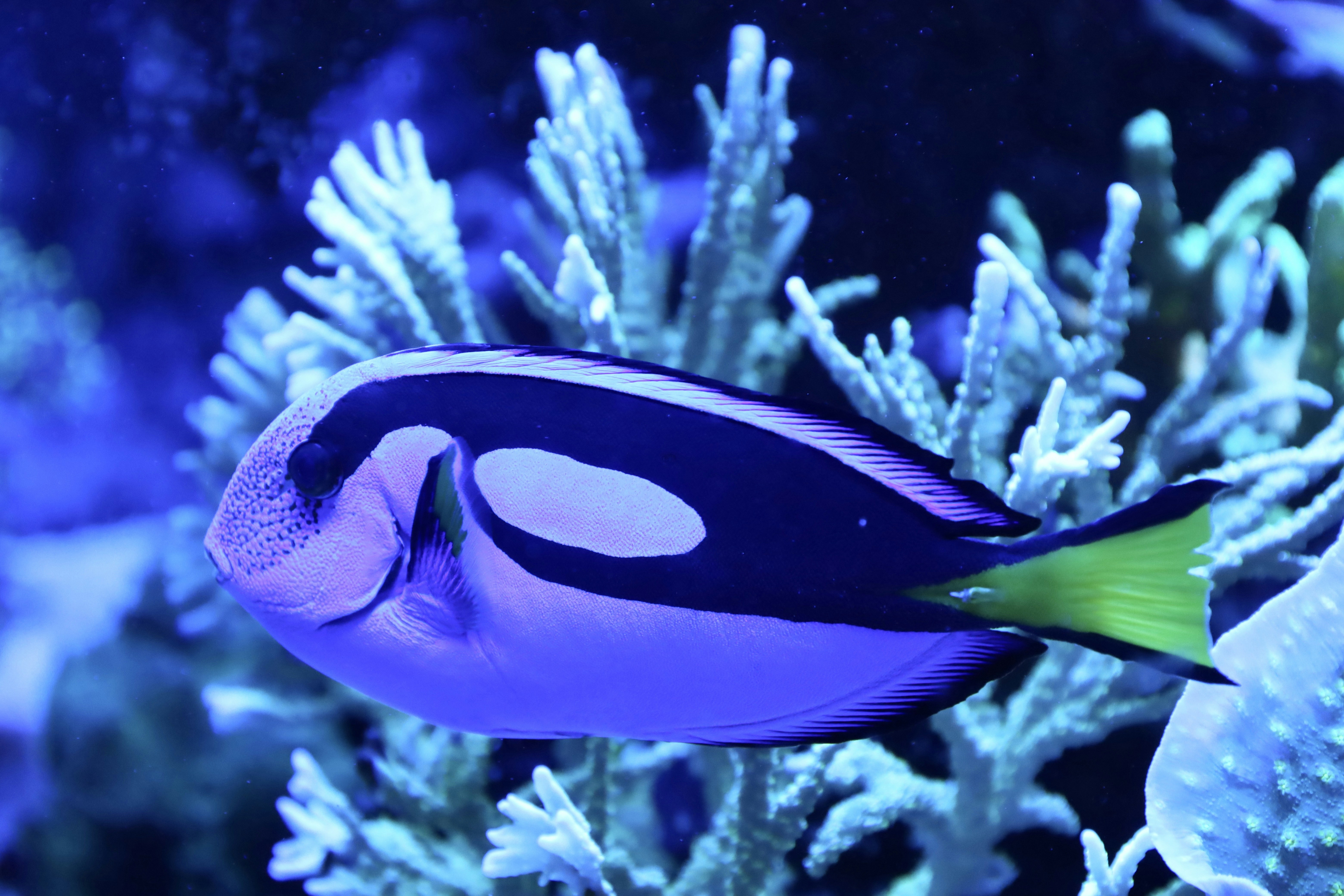 Photo by ananoelleeeee