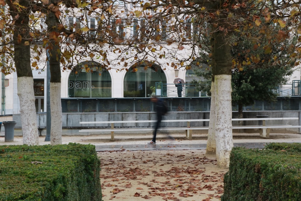 a man is walking through a park with trees