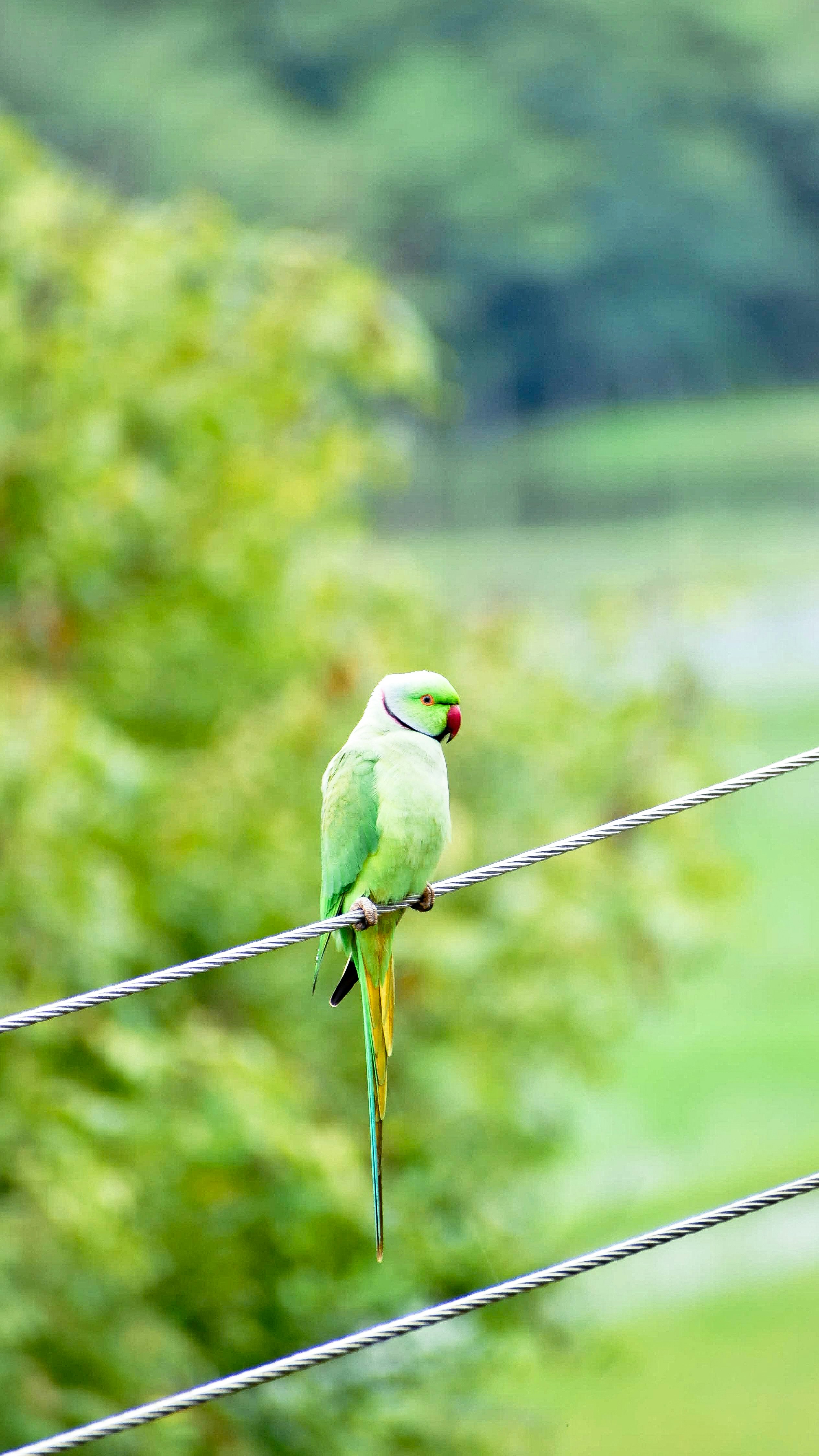 Photo by hacker_camerwork