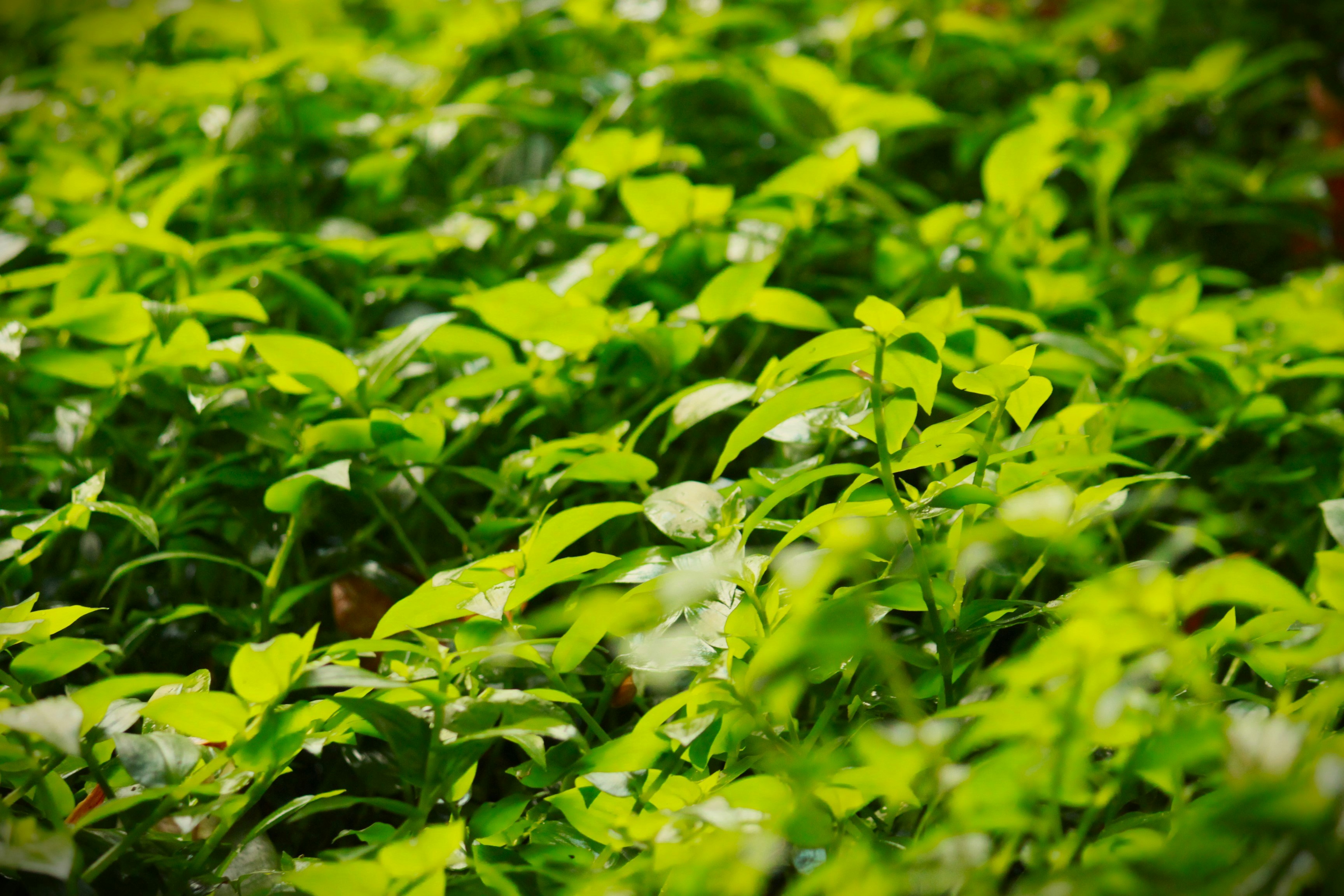 Photo by chayse_larsen