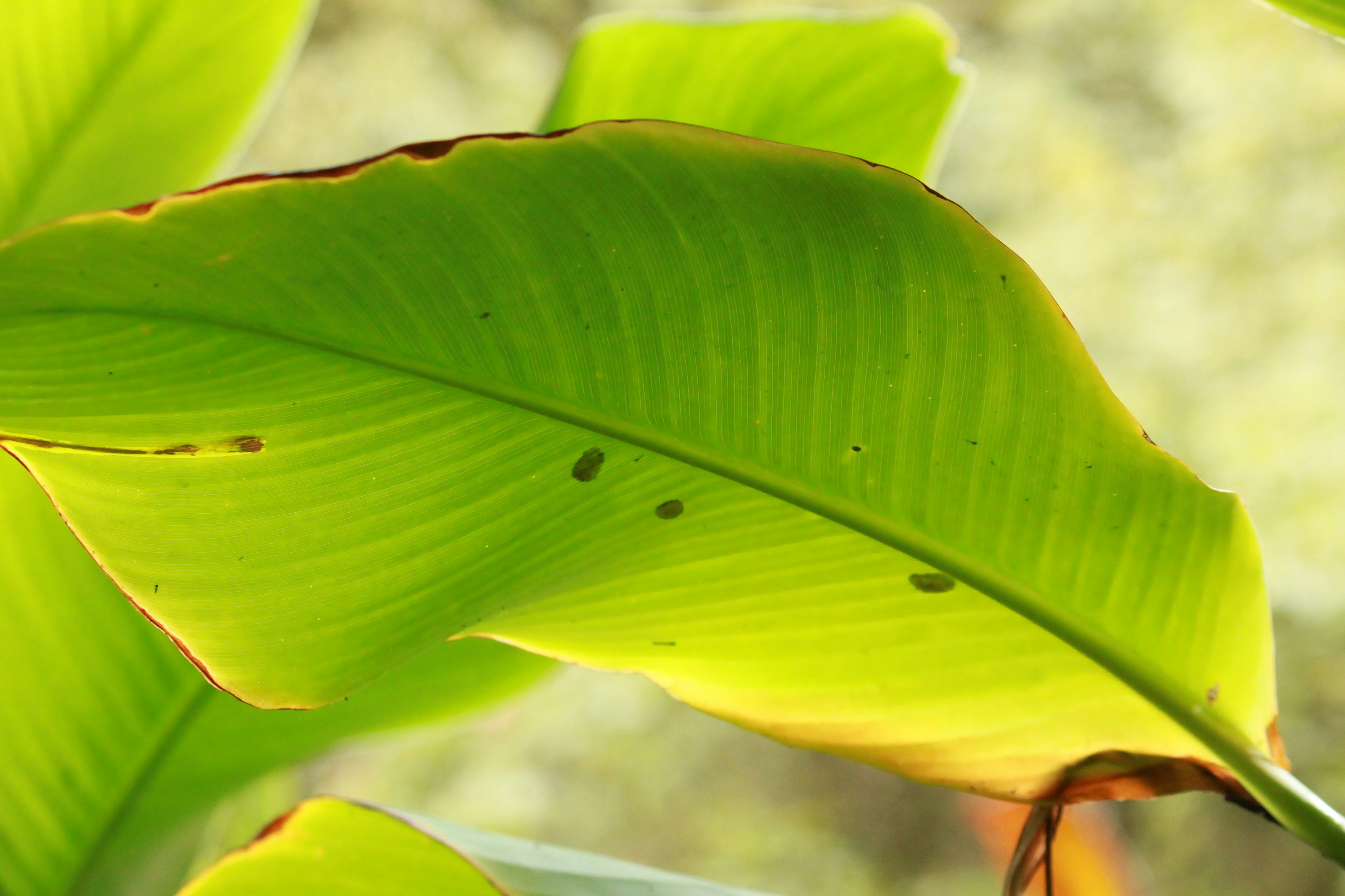 Photo by chayse_larsen