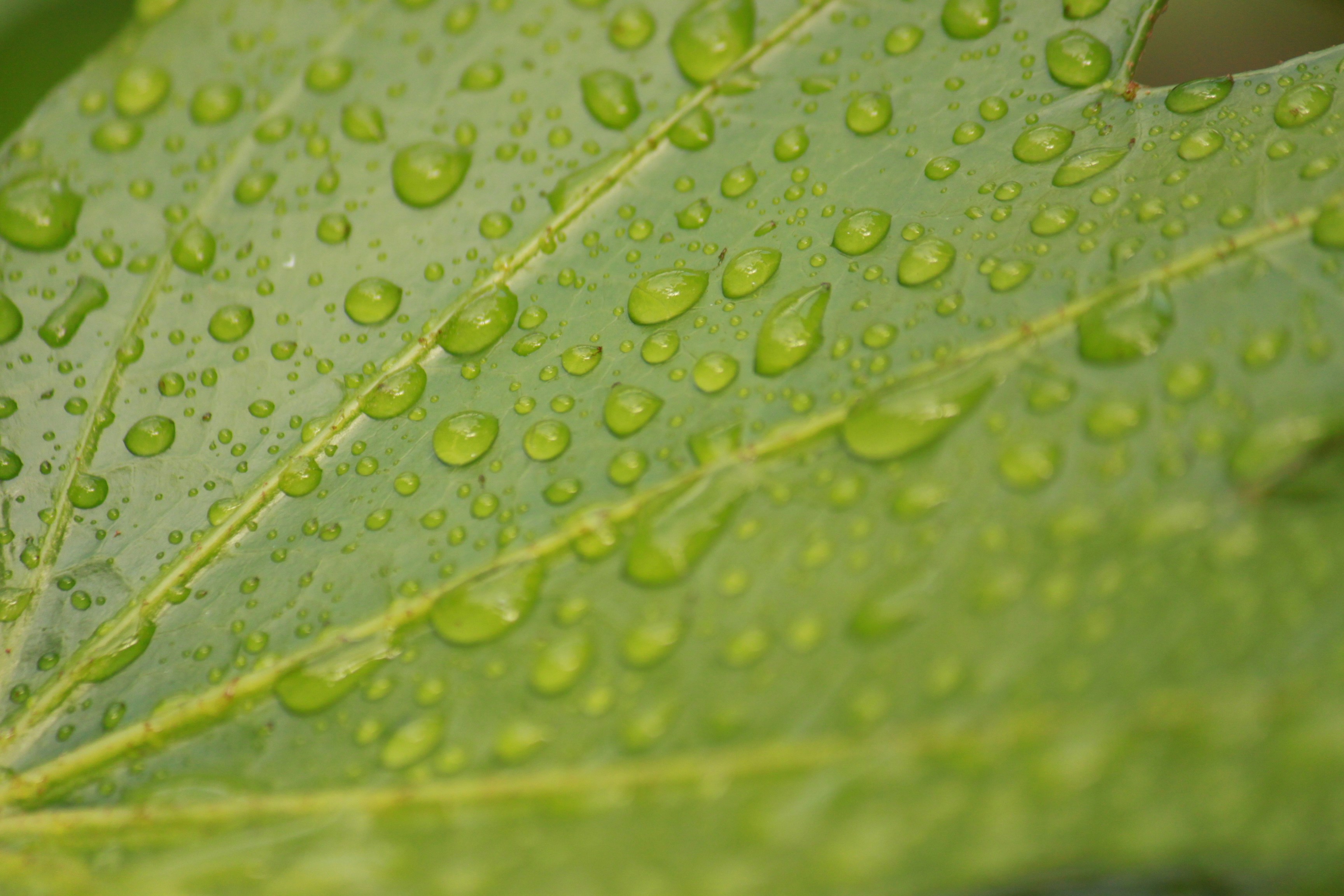 Photo by chayse_larsen