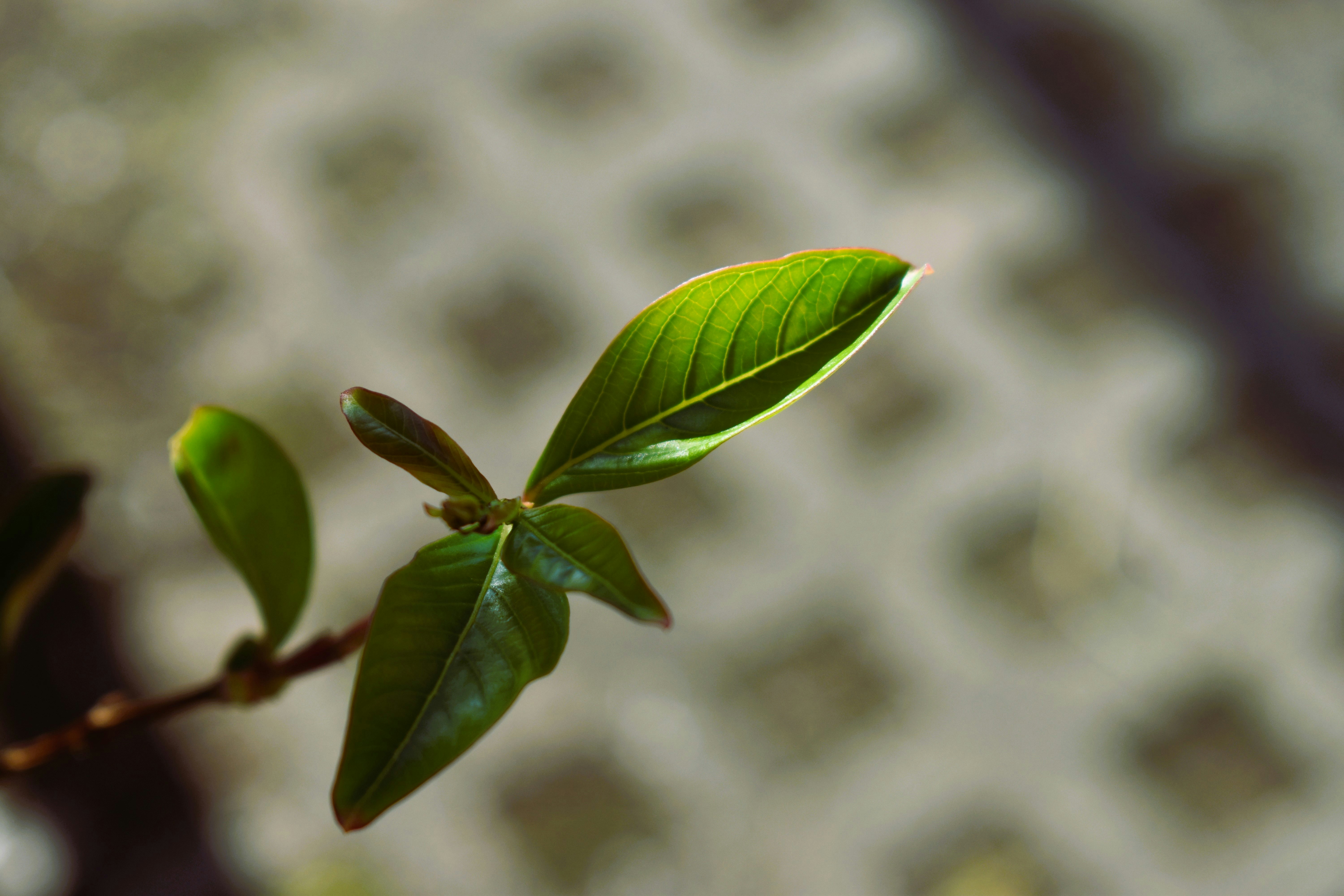 Photo by chayse_larsen