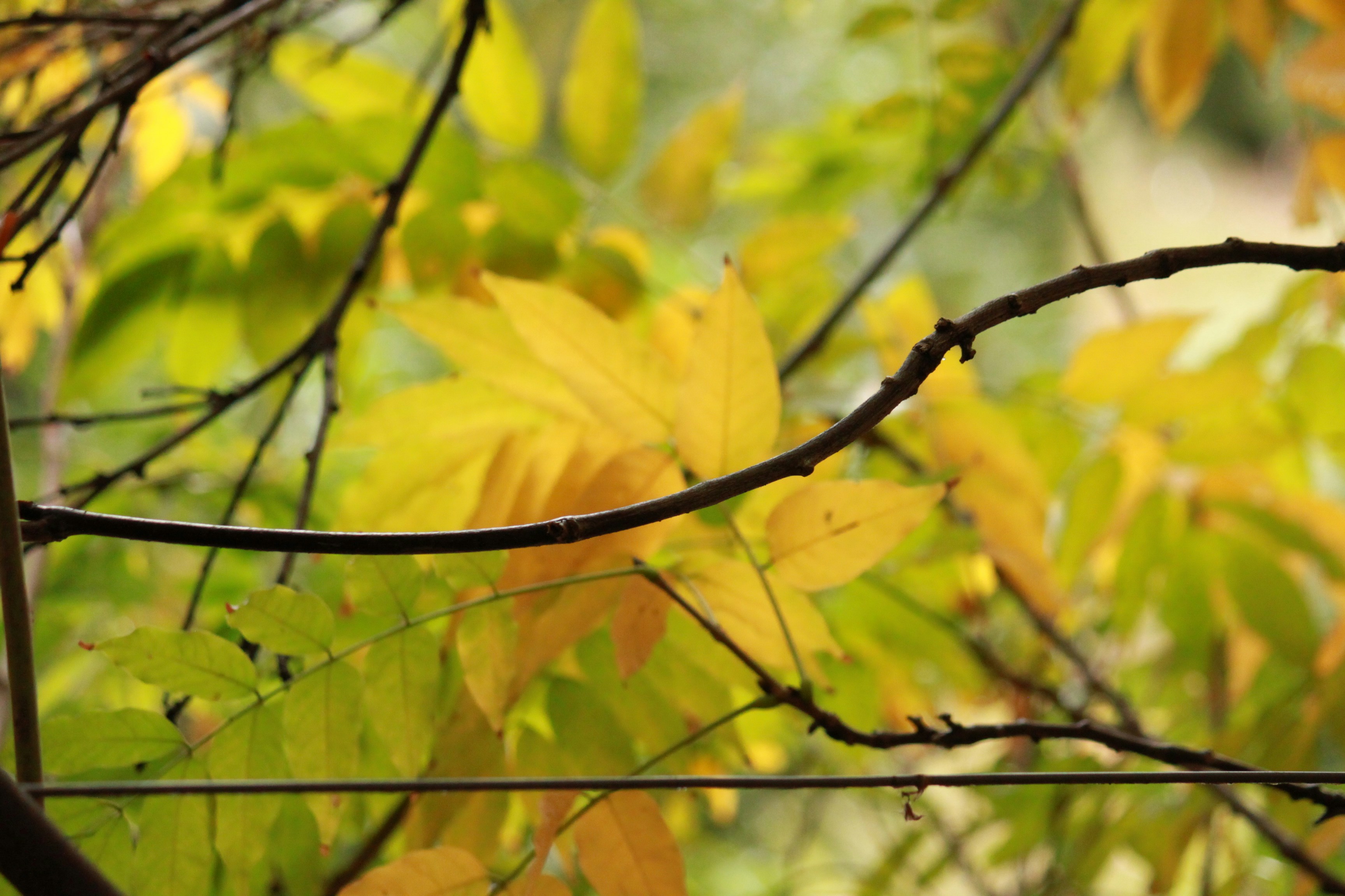 Photo by chayse_larsen