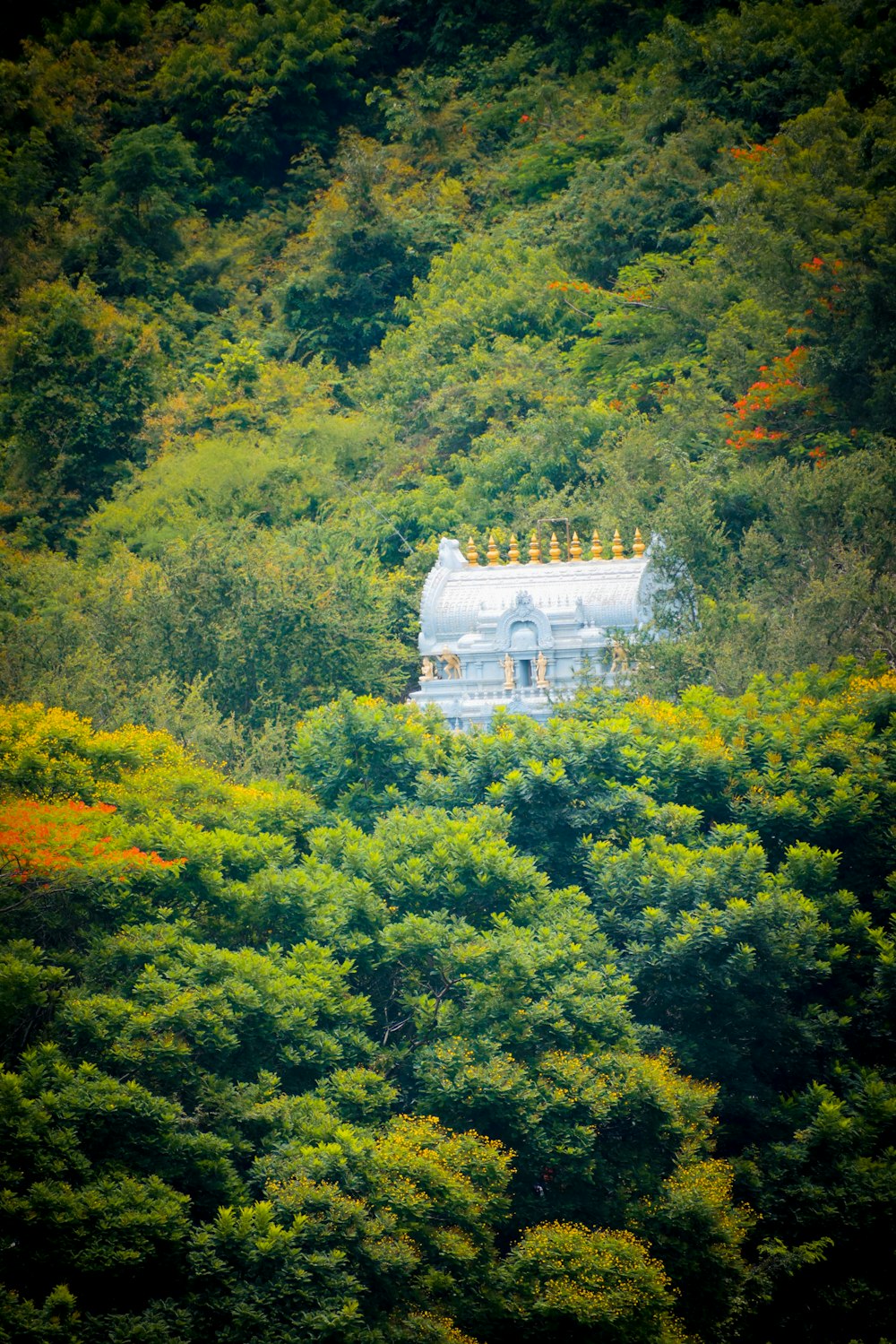 Una casa en medio de un bosque