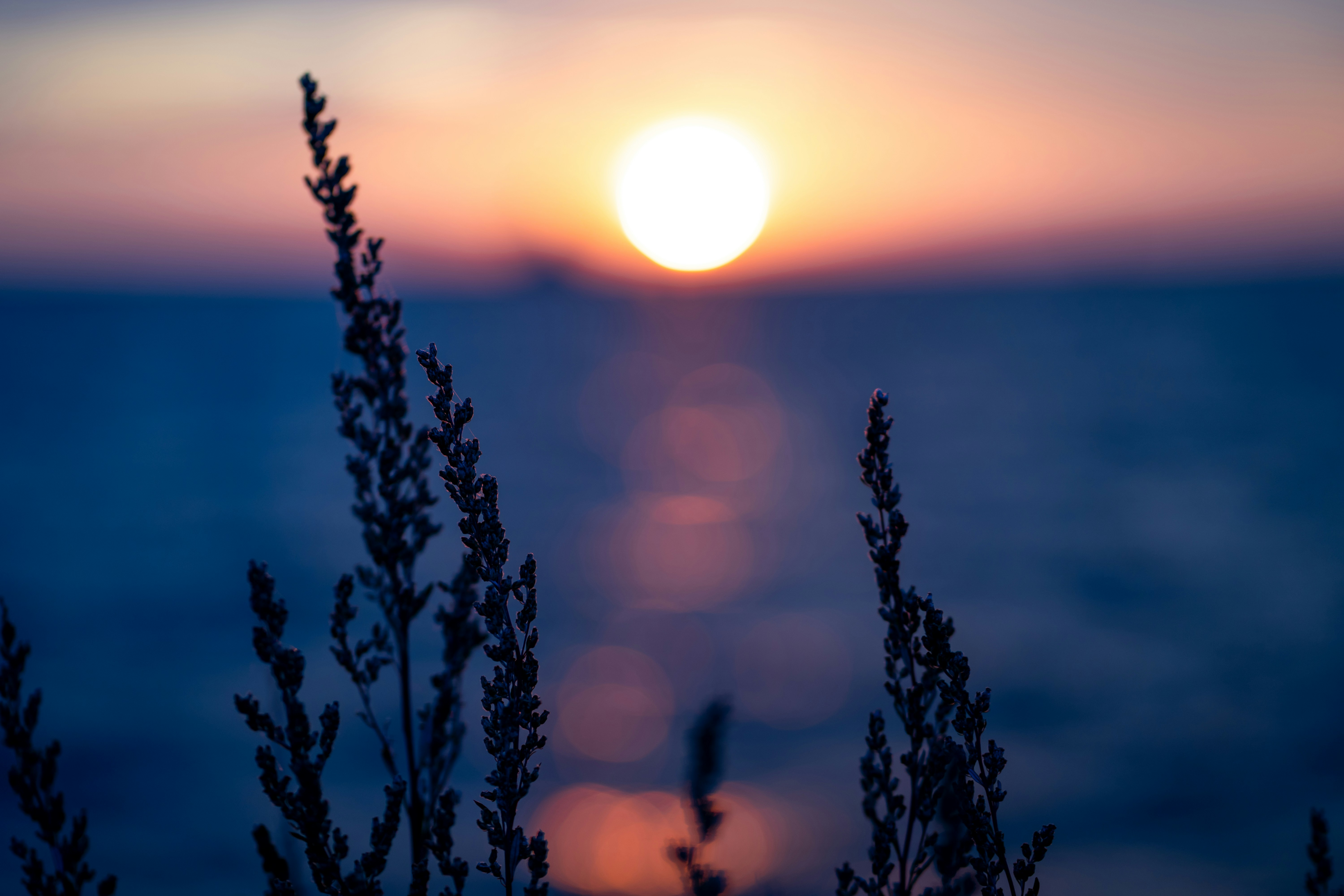 Photo by rebekahdummer