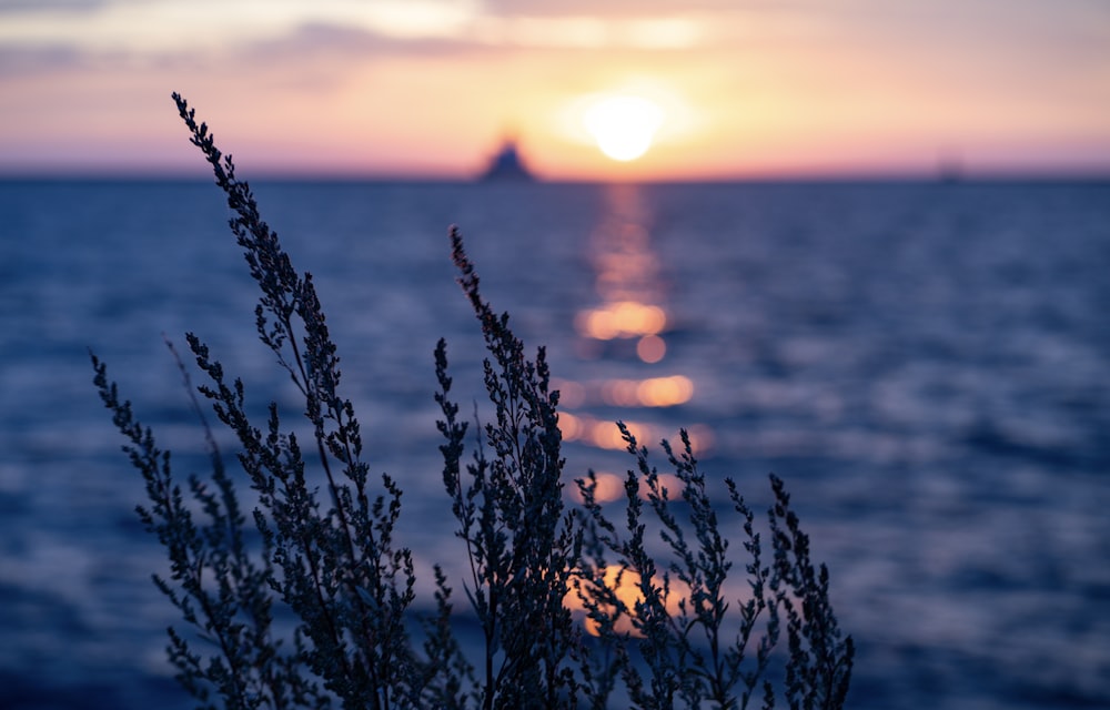 the sun is setting over a body of water