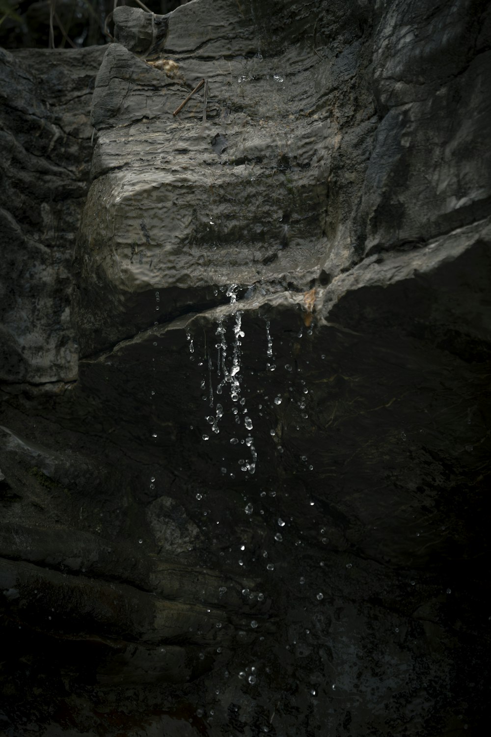 a bird standing on a rock next to a body of water