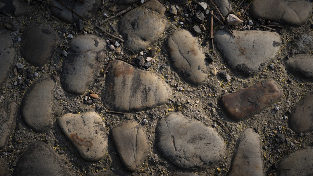 some rocks and dirt on the ground