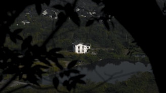 A serene landscape featuring a white house situated near a reflective body of water, surrounded by lush green hills. Dark silhouettes of tree branches and leaves frame the scene, creating a natural vignette that directs focus toward the house.