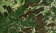 An aerial view of a vast landscape characterized by dense green forests, winding rivers, and varied terrain. The scene includes patches of lighter green areas, possibly farmland or grassland, alongside the rich, dark greens of forested regions.