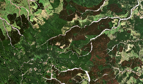 Aerial view of lush green forests and land, showcasing diverse ecosystems and natural resources.