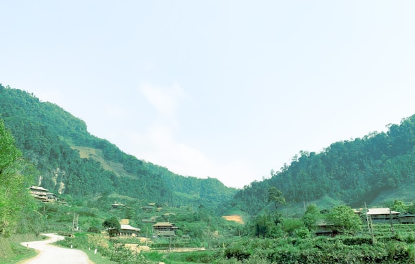 A scenic view of a rural village with green fields and traditional houses.