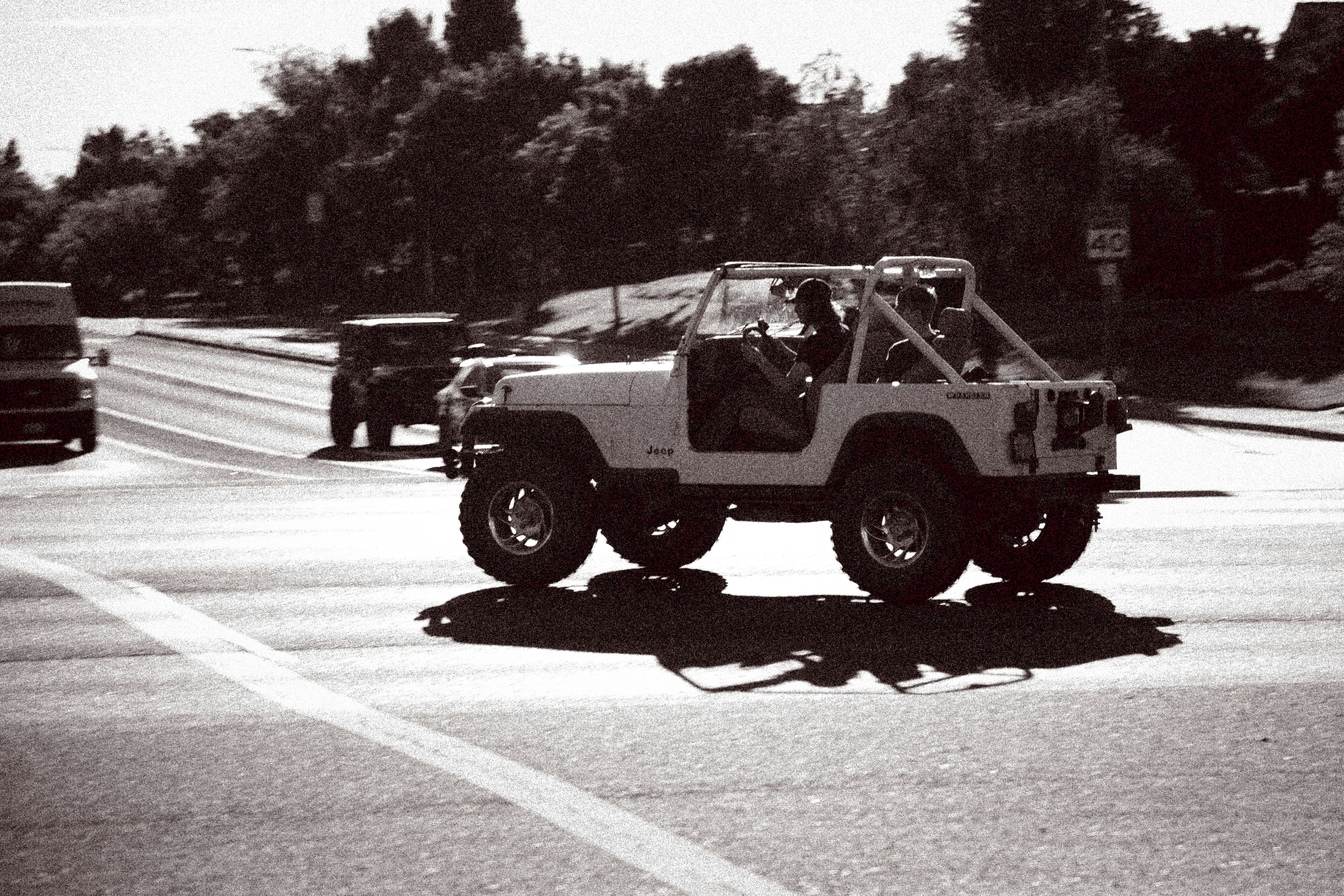 Book Your Safari Now