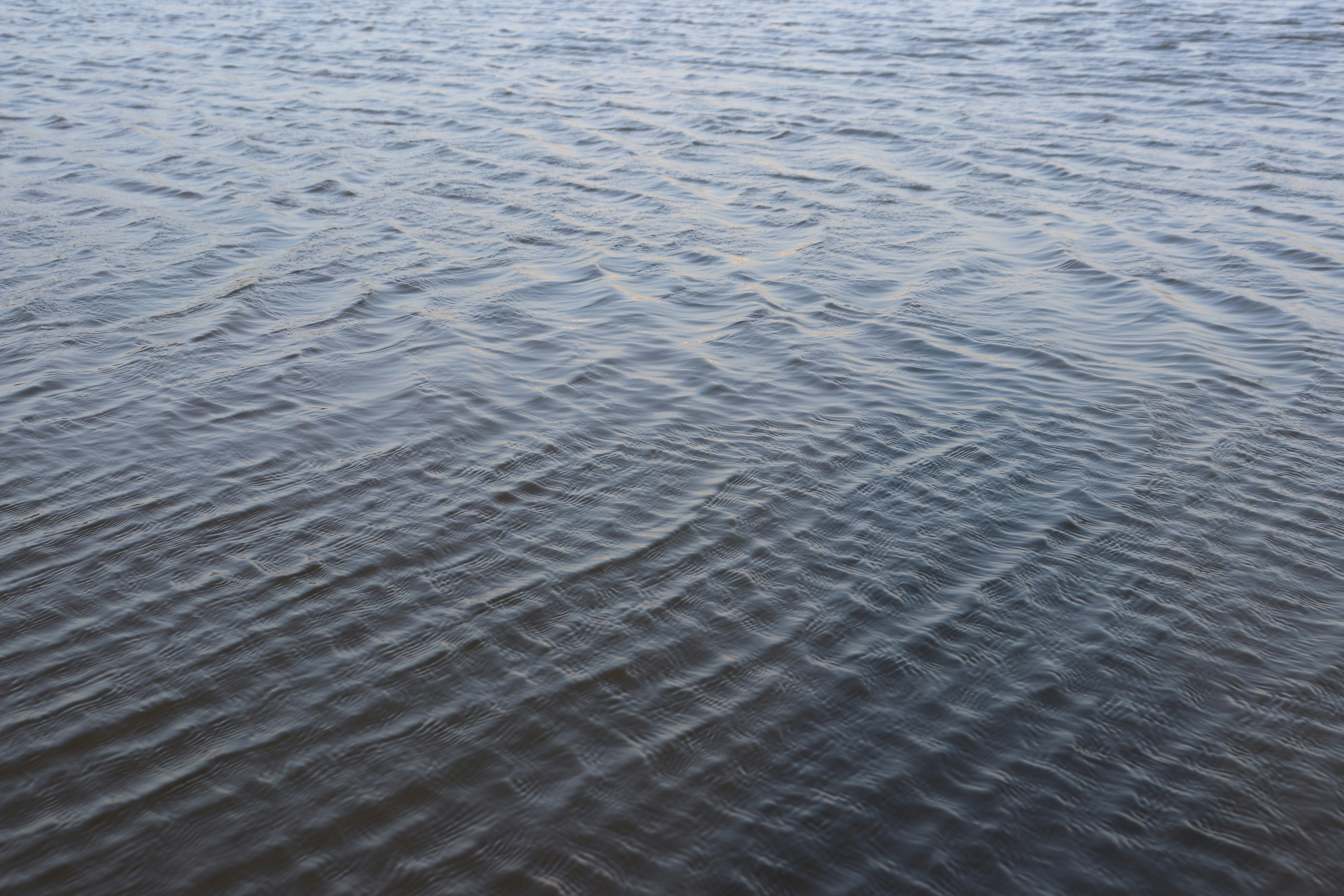 Photo by elee_334105