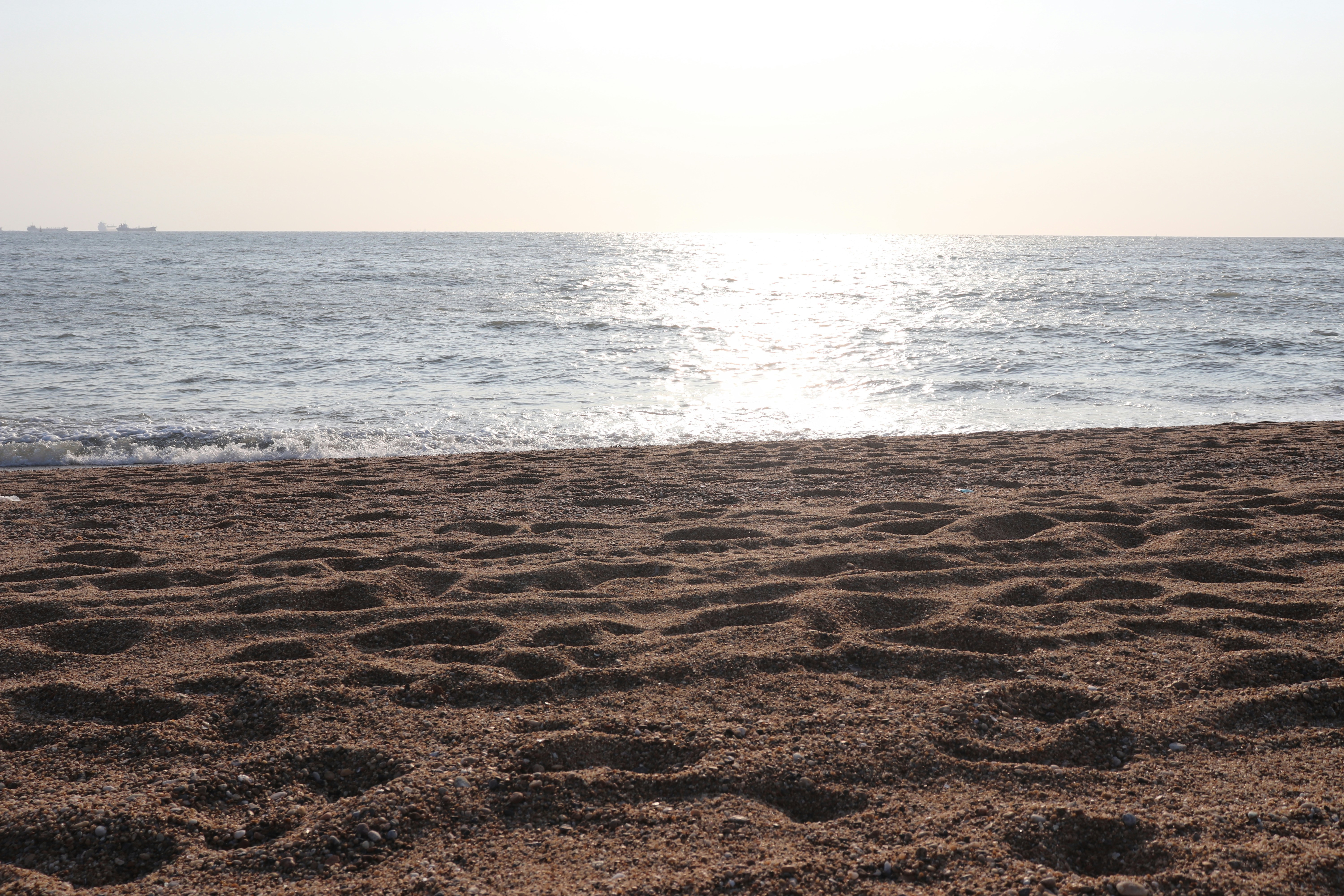 Photo by elee_334105