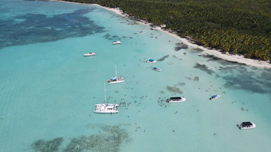 Catamarans in turquoise shallows off a palm-lined Caribbean island