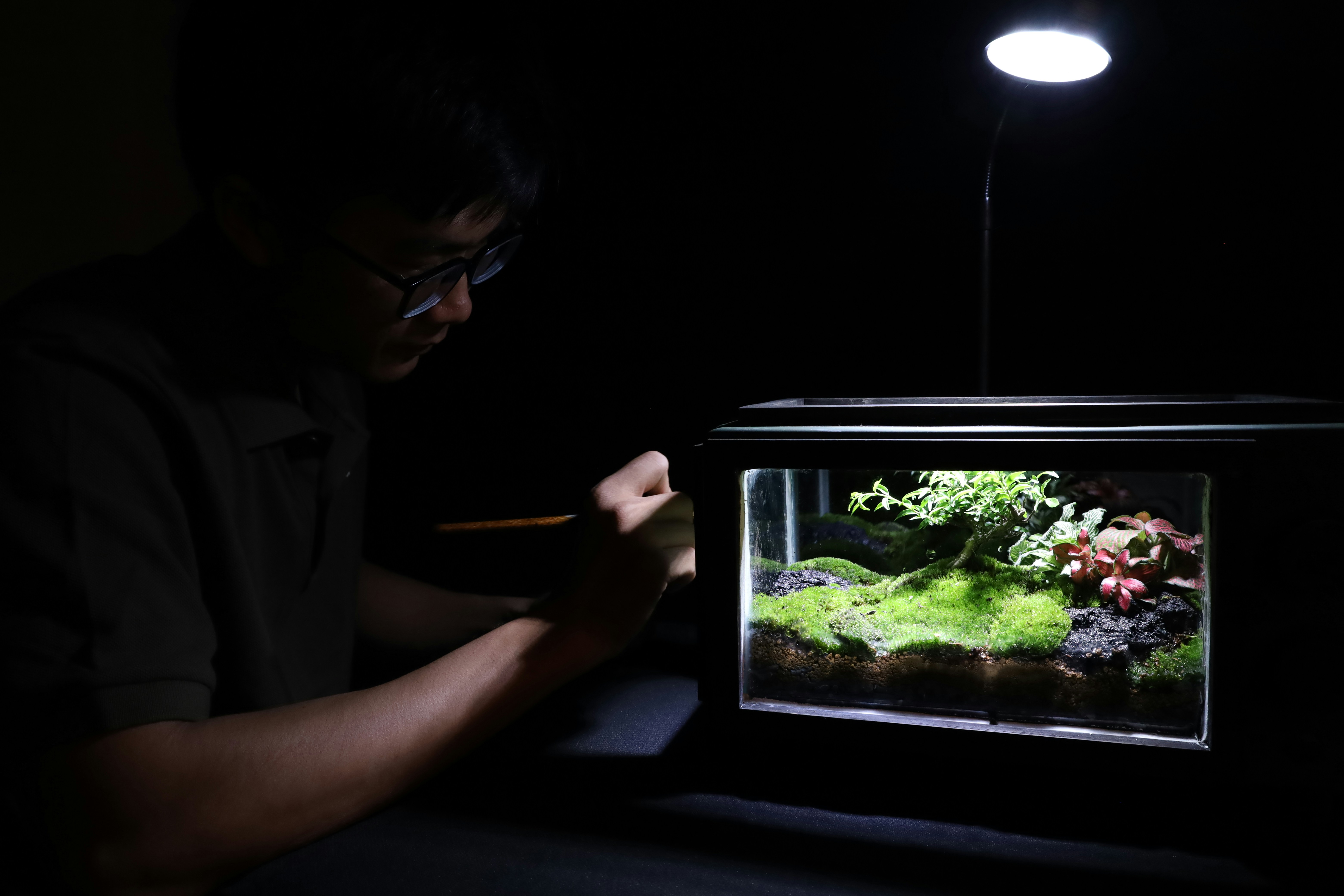 photo 1701318062785 2eb0d4ec679f?crop=entropy&cs=srgb&fm=jpg&ixid=M3w0MDY0MzJ8MHwxfHNlYXJjaHwyfHxBcXVhcml1bSUyMHNldHVwfGVufDB8MHx8fDE3MjYyNTMxNDN8MA&ixlib=rb 4.0