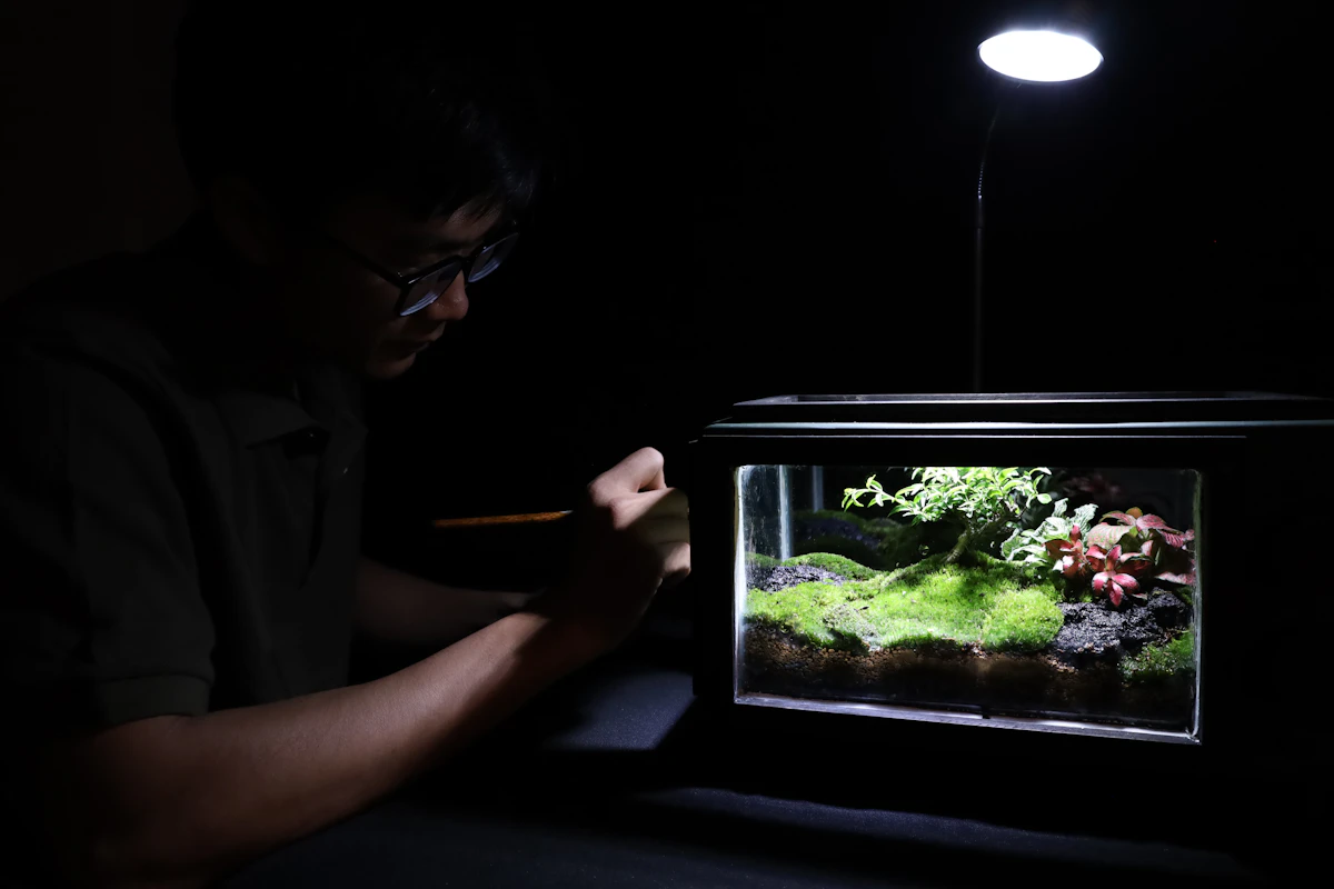 Pantalla LED iluminando un acuario plantado