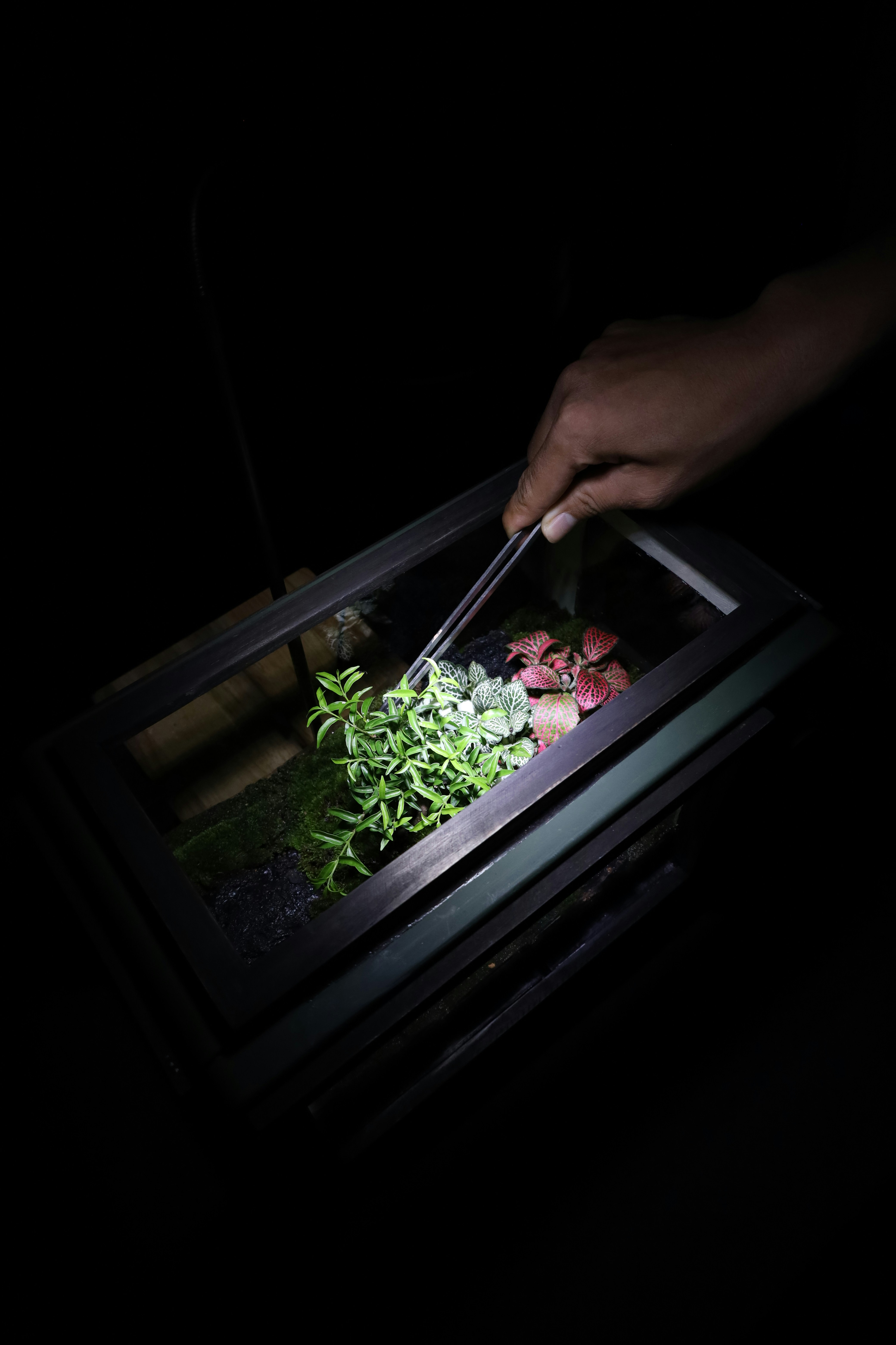 a person cutting vegetables in a microwave with a knife