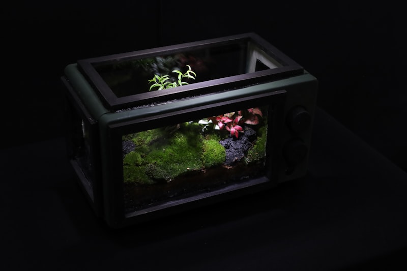 Aquarium mit Pflanzen in klarer Beleuchtung