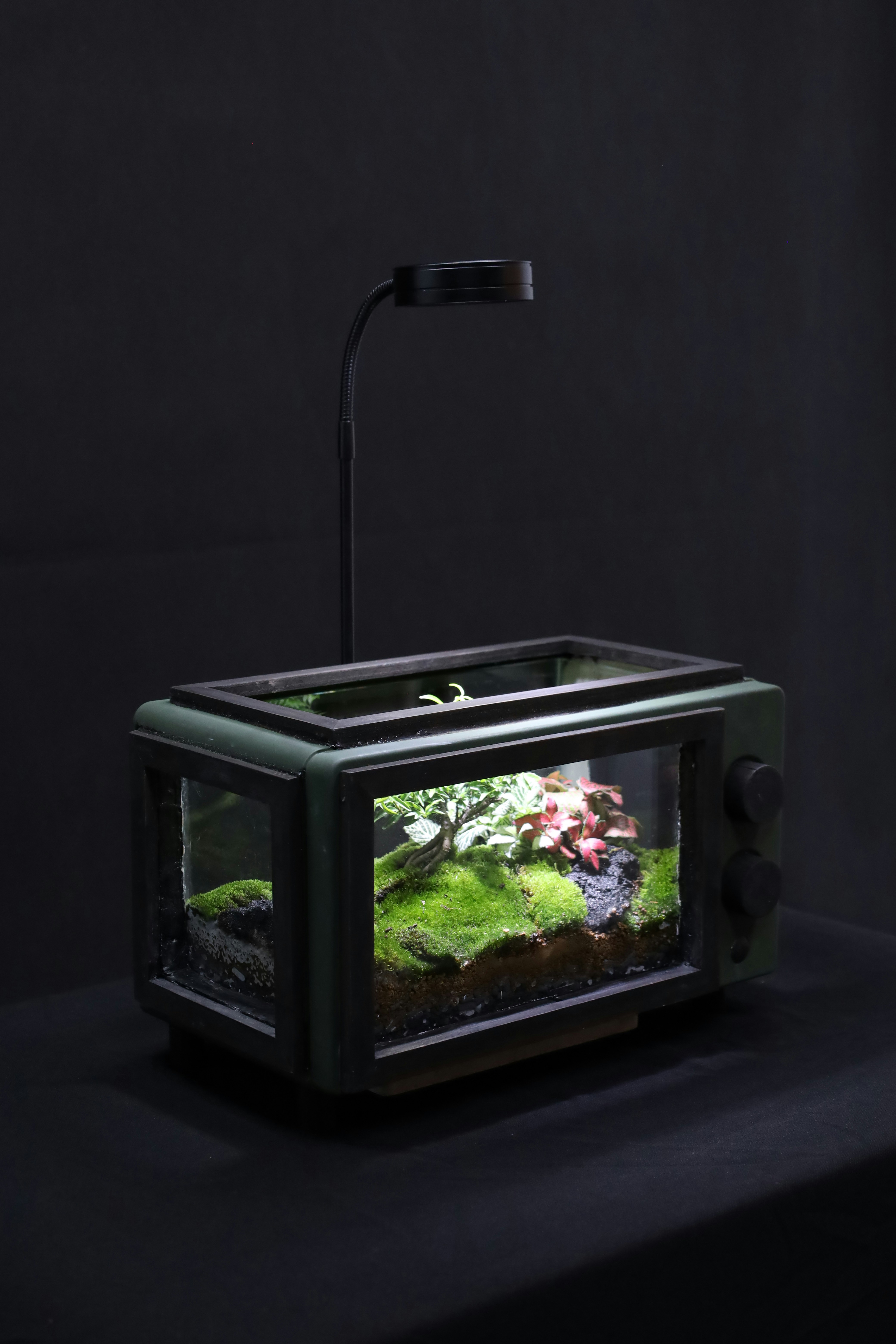 a fish tank with a light on top of it