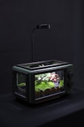 A miniature terrarium garden is housed inside a retro-style, clear glass container with a sleek black frame. Lush green moss, a small tree, and red foliage are visible within. An overhead lamp provides illumination, casting a gentle light over the vibrant plants.