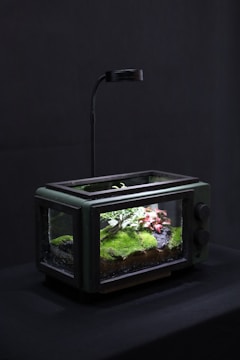 A miniature terrarium garden is housed inside a retro-style, clear glass container with a sleek black frame. Lush green moss, a small tree, and red foliage are visible within. An overhead lamp provides illumination, casting a gentle light over the vibrant plants.
