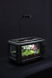 A miniature terrarium garden is housed inside a retro-style, clear glass container with a sleek black frame. Lush green moss, a small tree, and red foliage are visible within. An overhead lamp provides illumination, casting a gentle light over the vibrant plants.