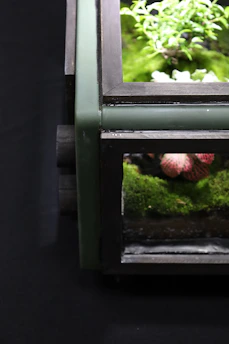 A modern glass enclosure setup with lush plants and hiding spots for reptiles.