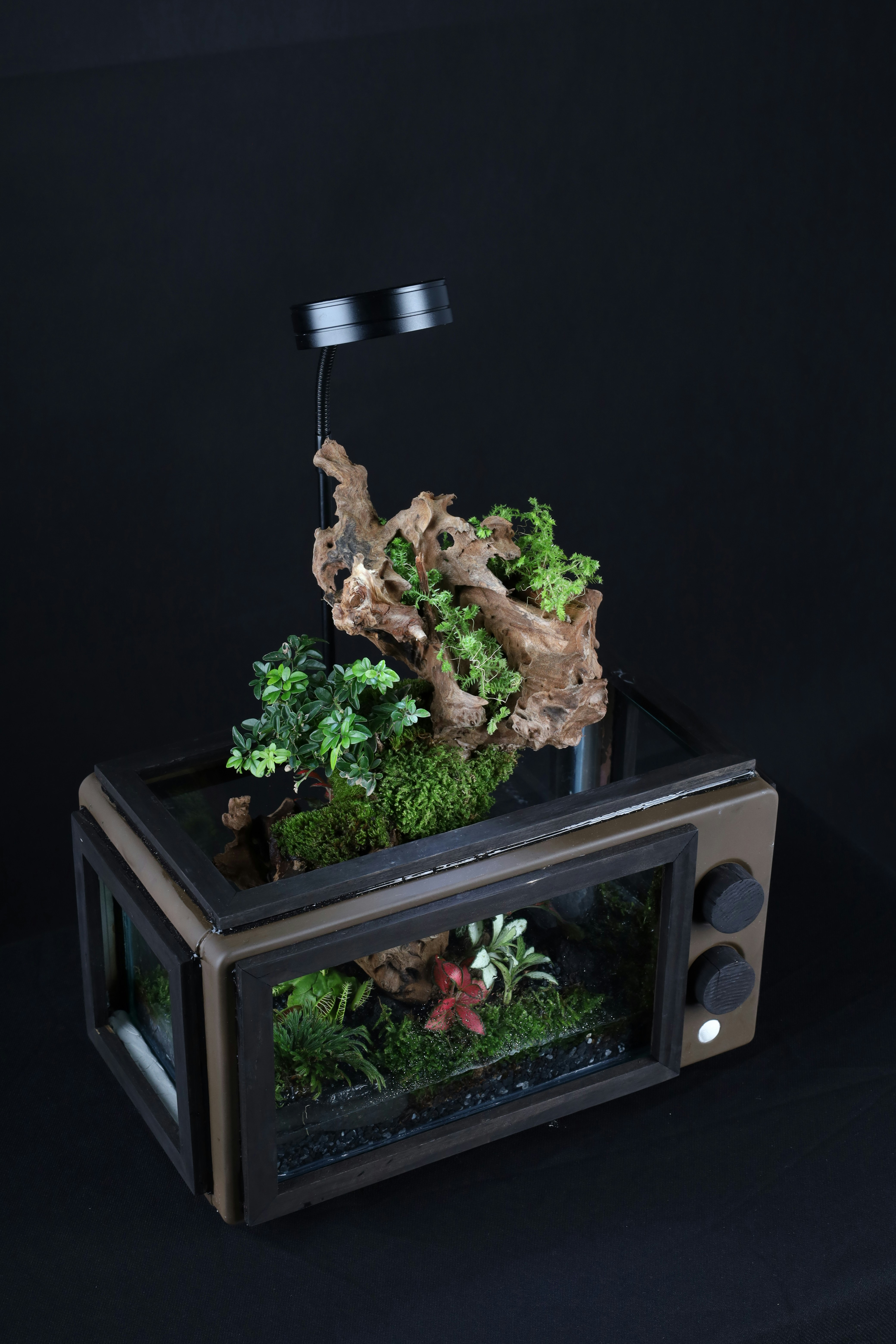 Photo by tranquangphu