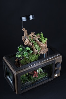 A terrarium is housed within a repurposed old television set, featuring various types of plants and moss. A piece of driftwood stands upright in the center, with leafy green plants and ferns growing around it. There is a small overhead lamp attached to the top for lighting.