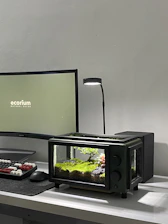 A serene rainfall terrarium softly illuminated on a minimalist desk setup.