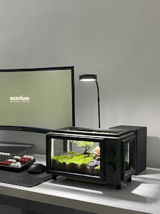A serene rainfall terrarium softly illuminated on a minimalist desk setup.