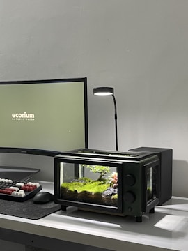 A modern desk setup featuring a large computer monitor displaying 'ecorium natural decor' next to a small terrarium designed to resemble a miniature television. The terrarium contains lush green moss and a tiny bonsai tree, with rocks for decoration. The overall aesthetic is minimalist, enhanced by a sleek desk lamp and a mechanical keyboard with red and white keys.